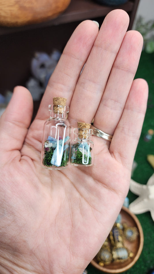 Mini Kyanite Crystal Terrariums 🌿💎