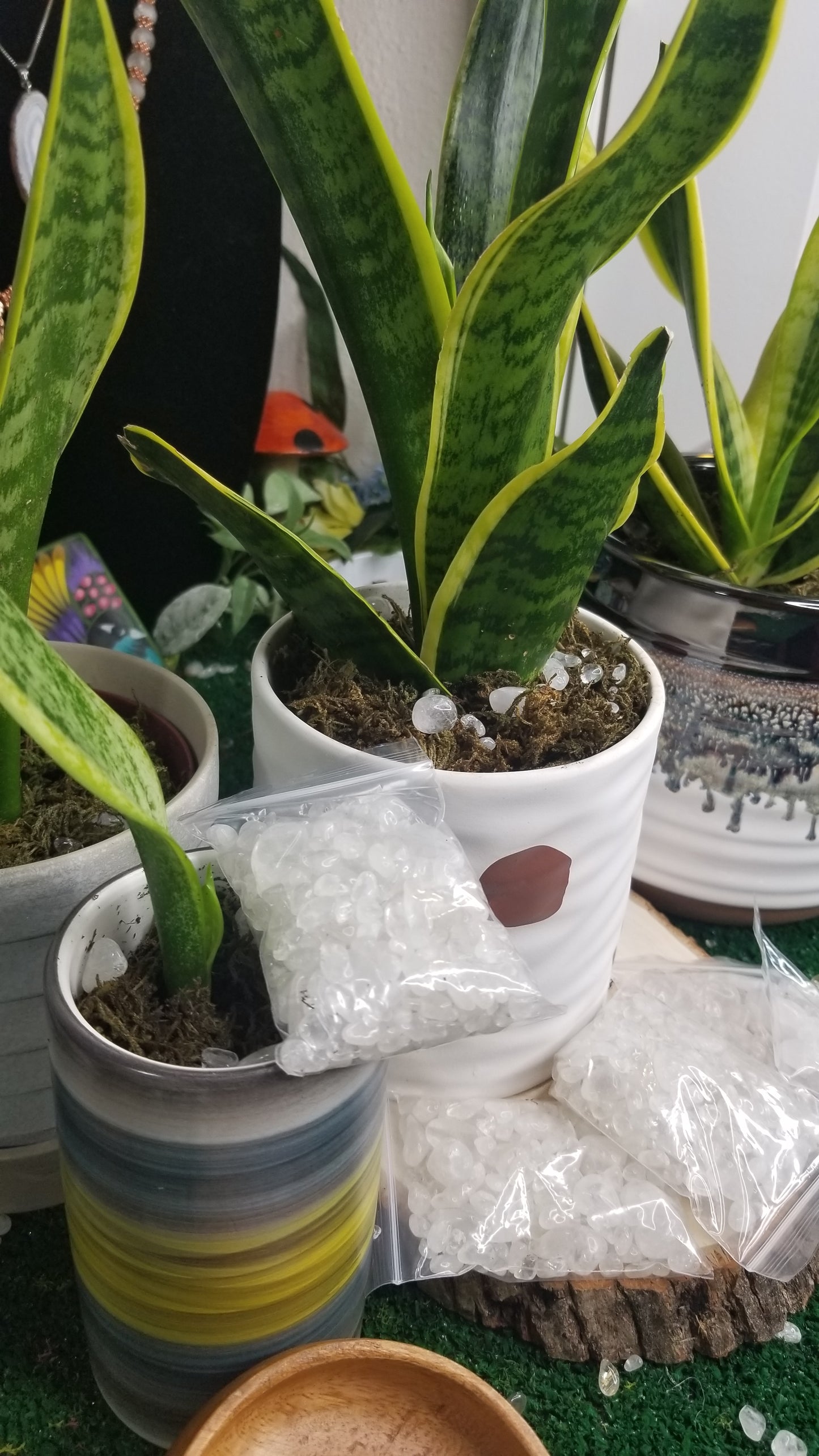 Clear Quartz chips for your plants!! 🌱🌿