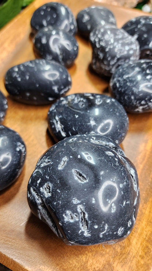 Agni Manitite Palm Stones