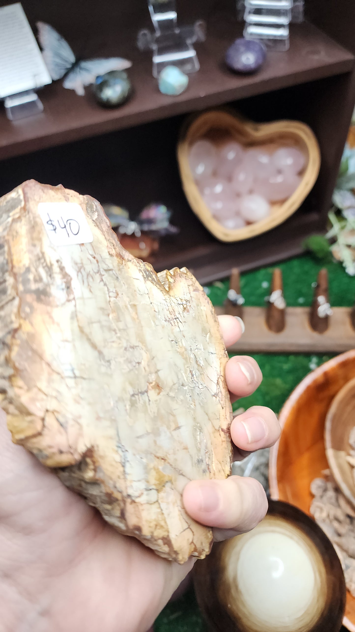 Petrified Wood Slice (#1)