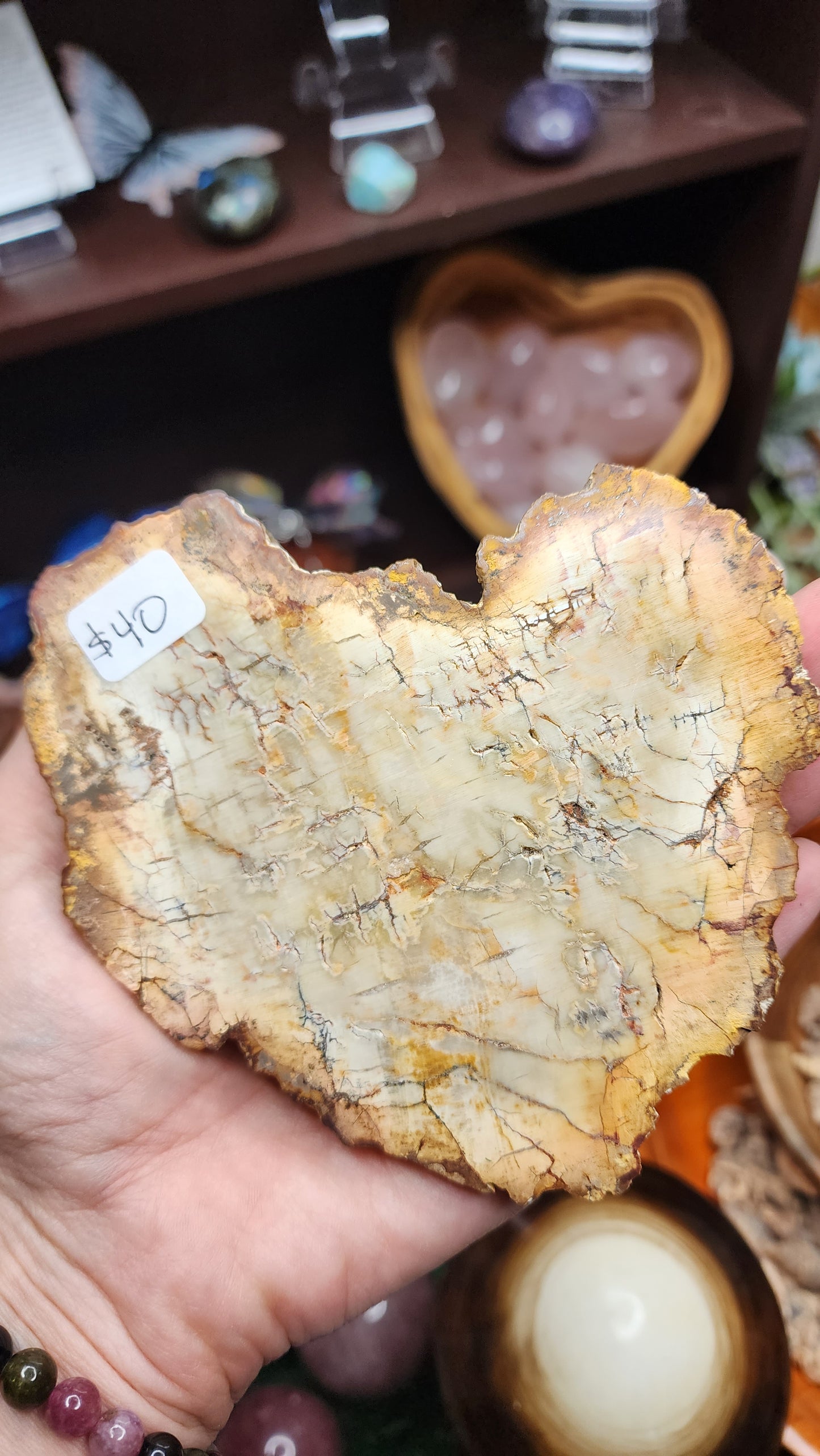 Petrified Wood Slice (#1)