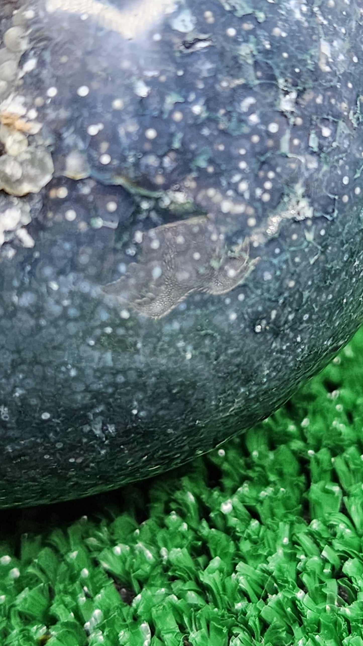 Grape Agate Sphere (#5) 🍇