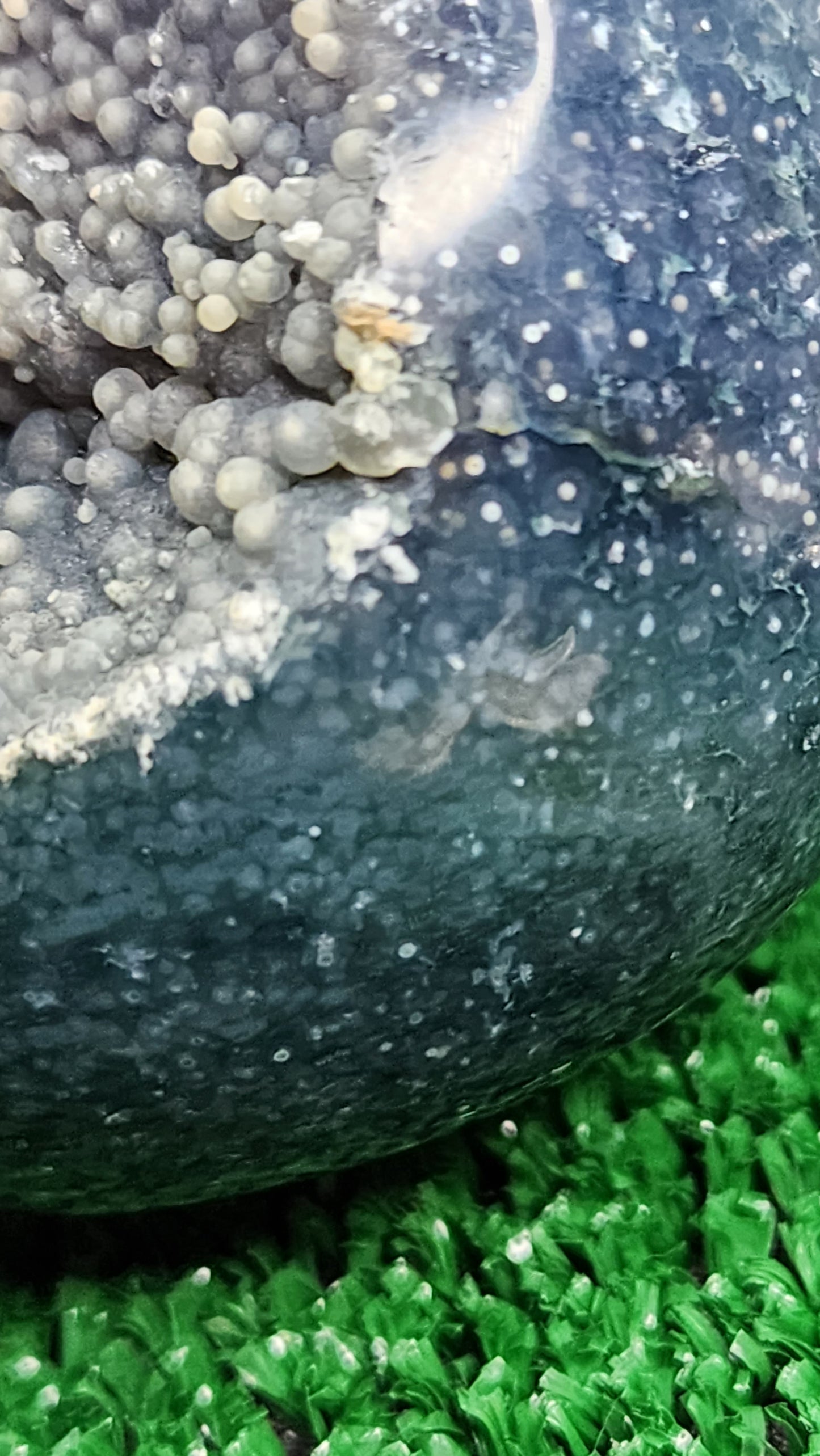 Grape Agate Sphere (#5) 🍇