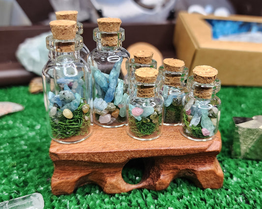 Mini Kyanite Crystal Terrariums 🌿💎