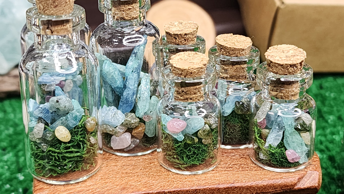 Mini Kyanite Crystal Terrariums 🌿💎