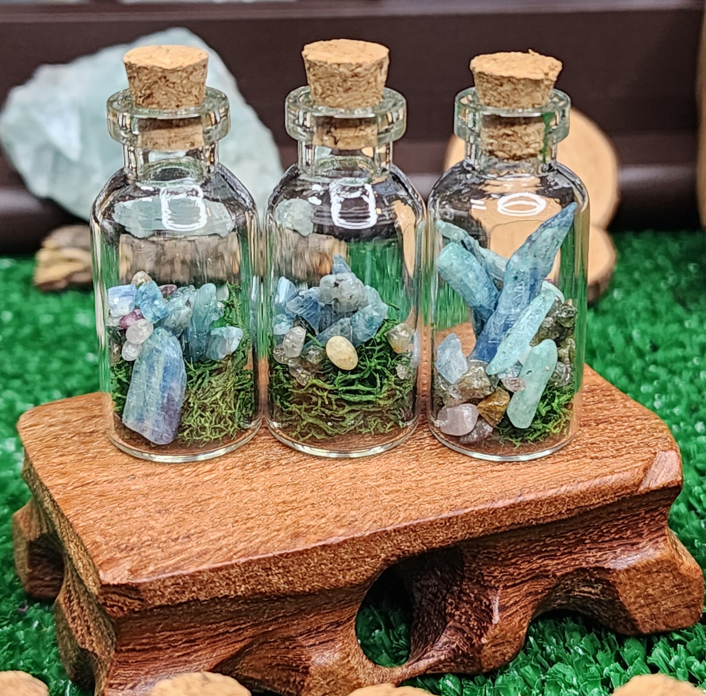 Mini Kyanite Crystal Terrariums 🌿💎