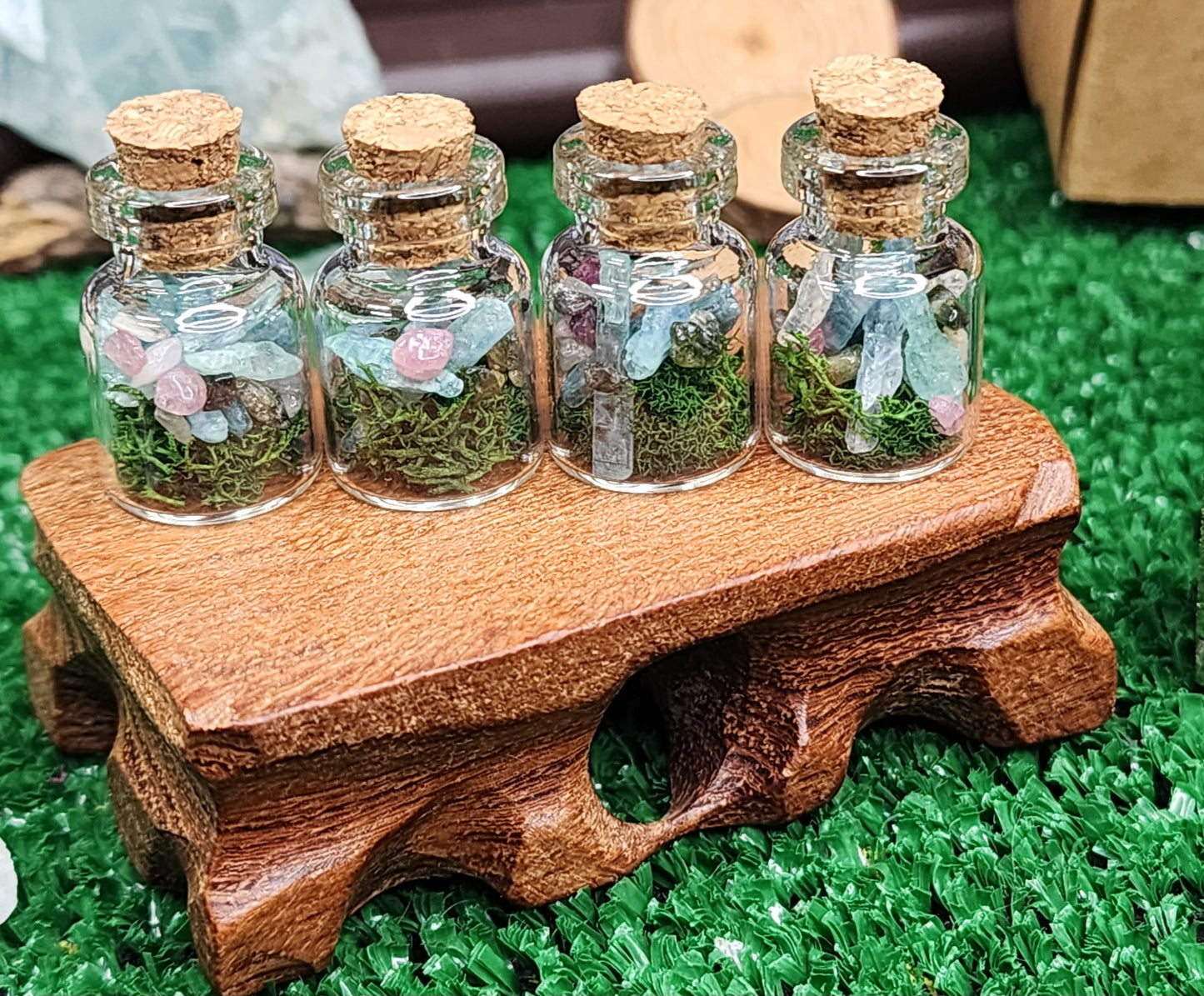 Mini Kyanite Crystal Terrariums 🌿💎
