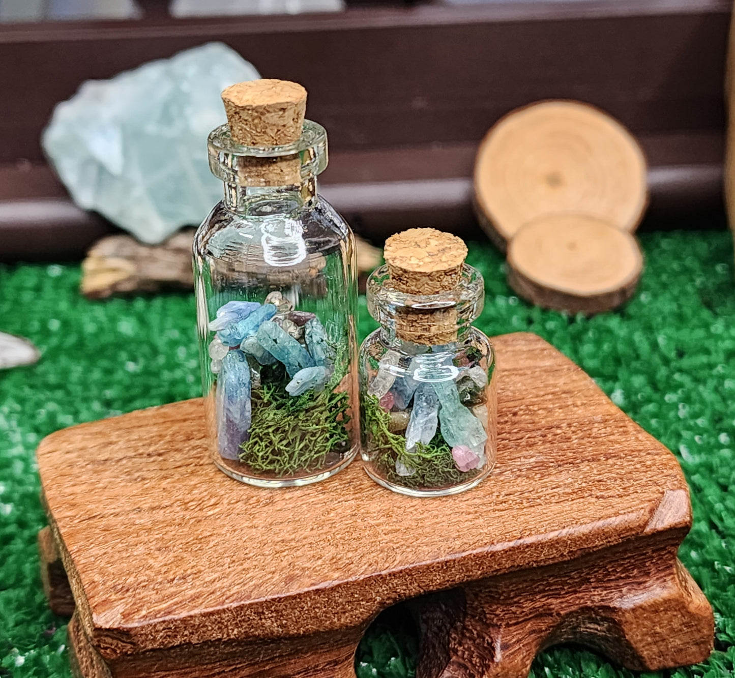 Mini Kyanite Crystal Terrariums 🌿💎