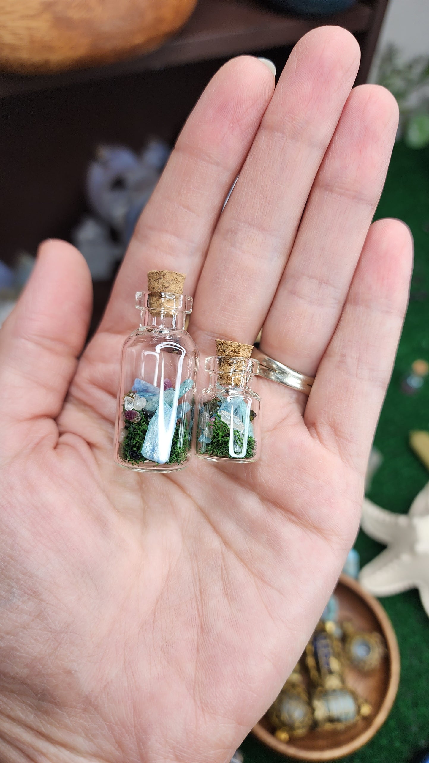 Mini Kyanite Crystal Terrariums 🌿💎