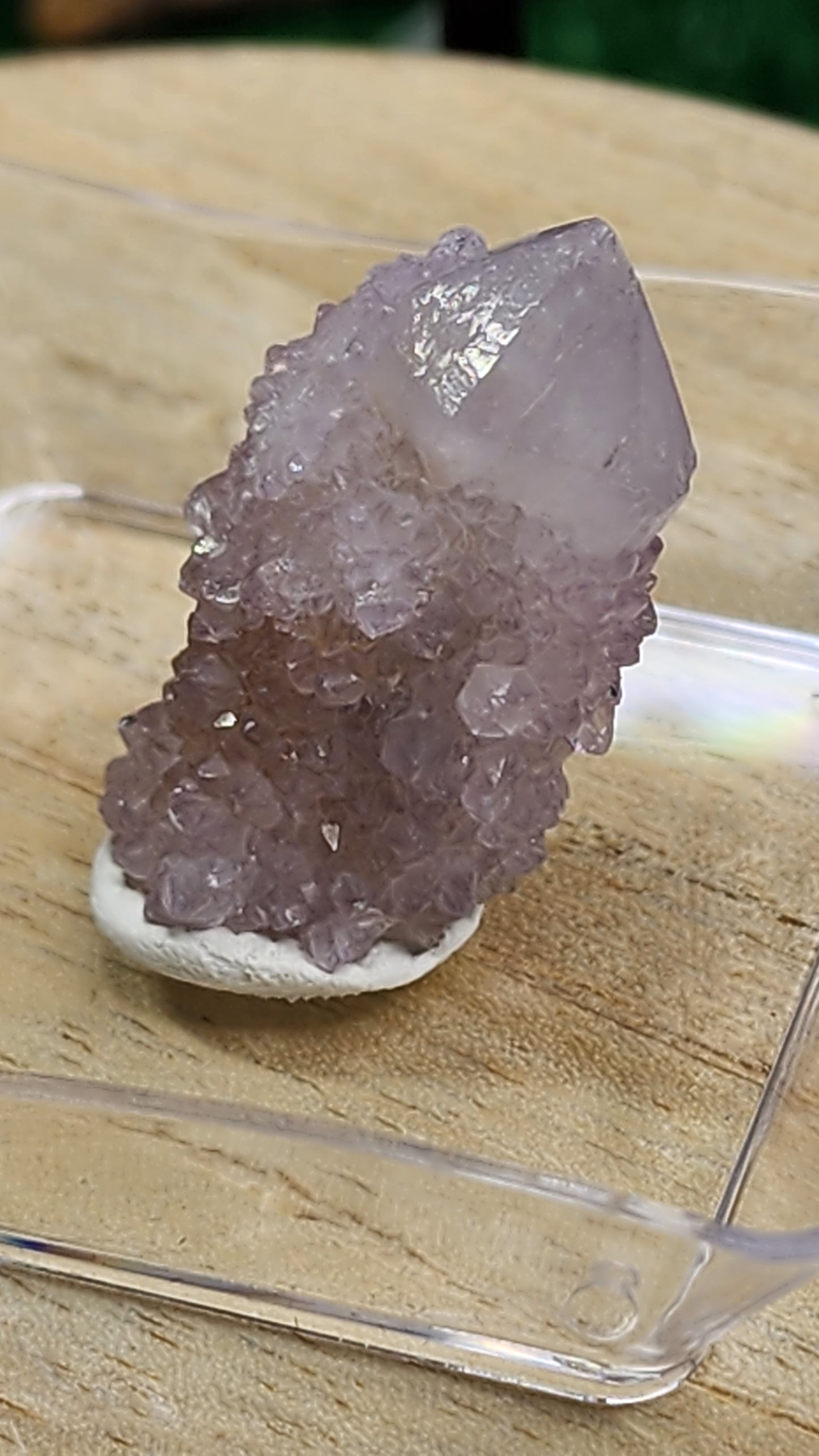 Cactus Quartz / Spirit Quartz Clusters