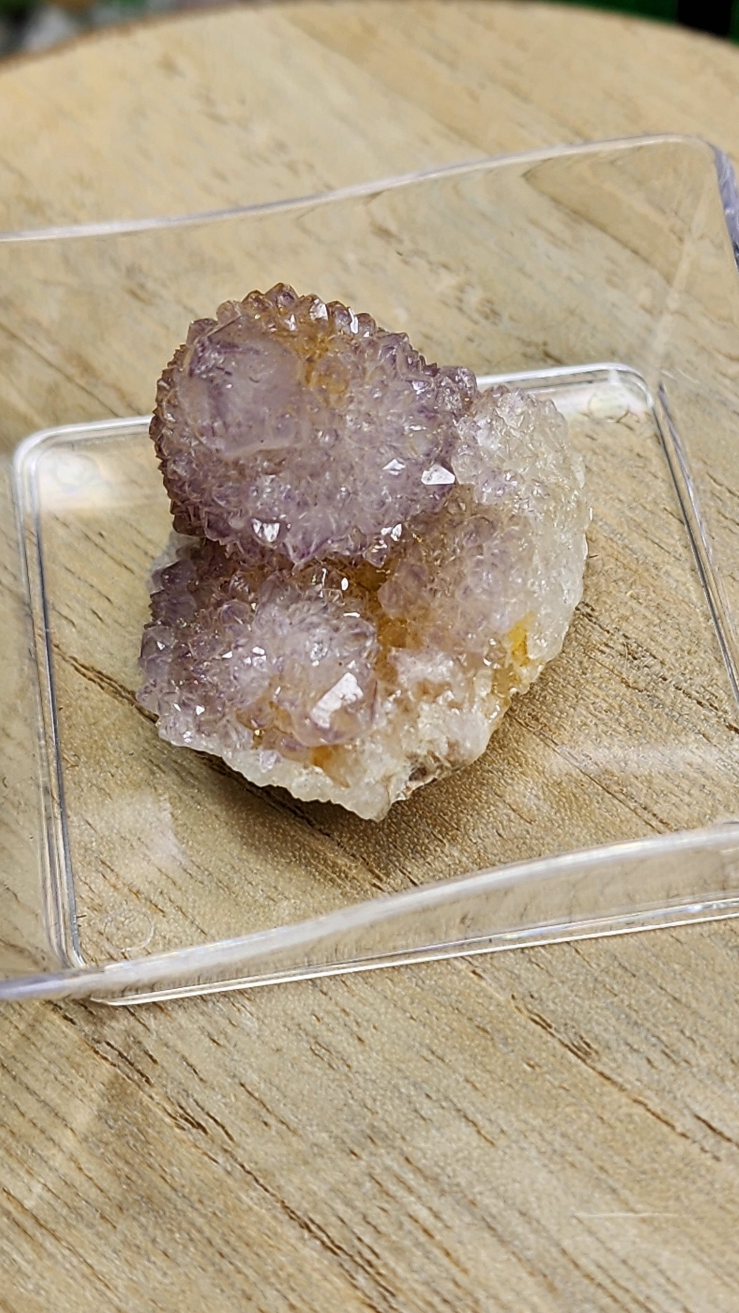 Cactus Quartz / Spirit Quartz Clusters