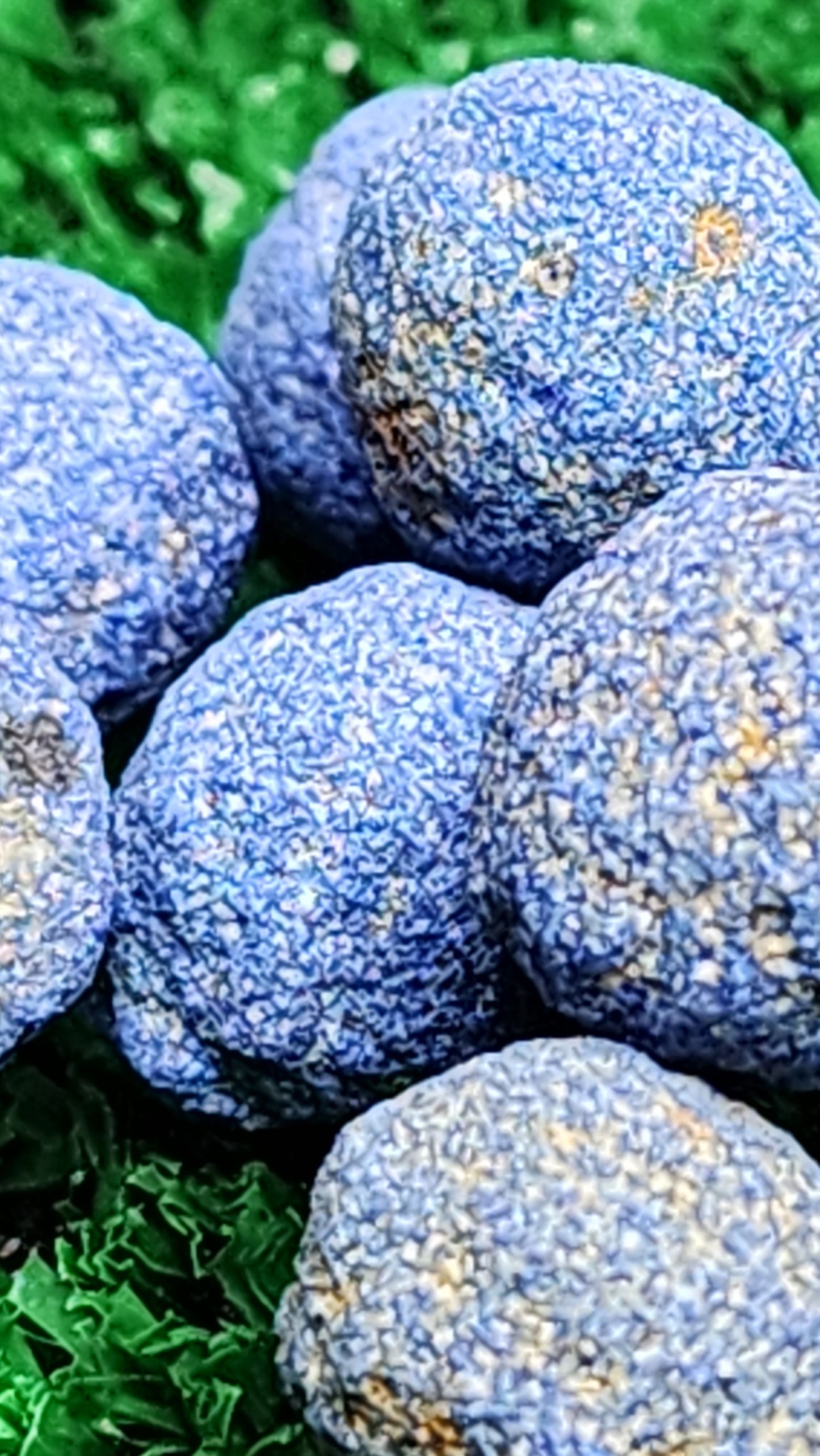 Azurite Blueberries