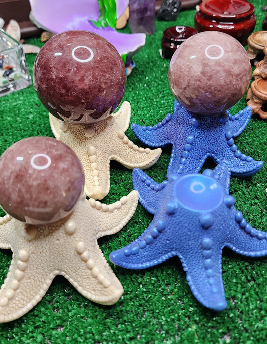Starfish - Sphere Stands ⭐️