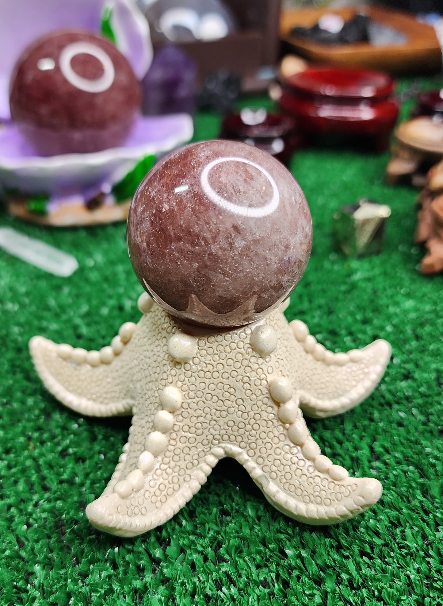 Starfish - Sphere Stands ⭐️