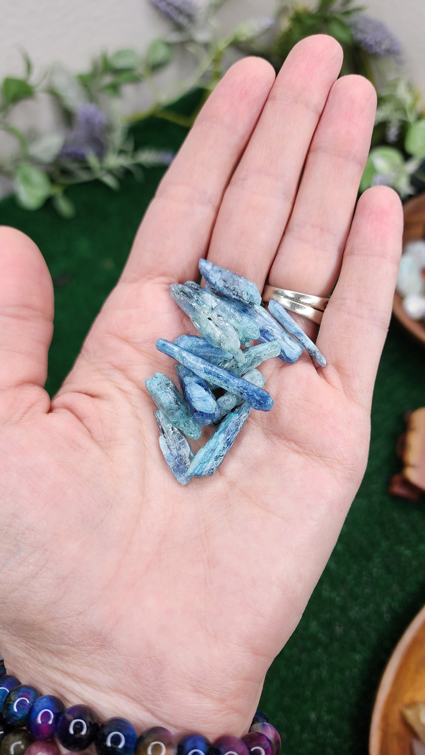 Blue Kyanite Blades 💙