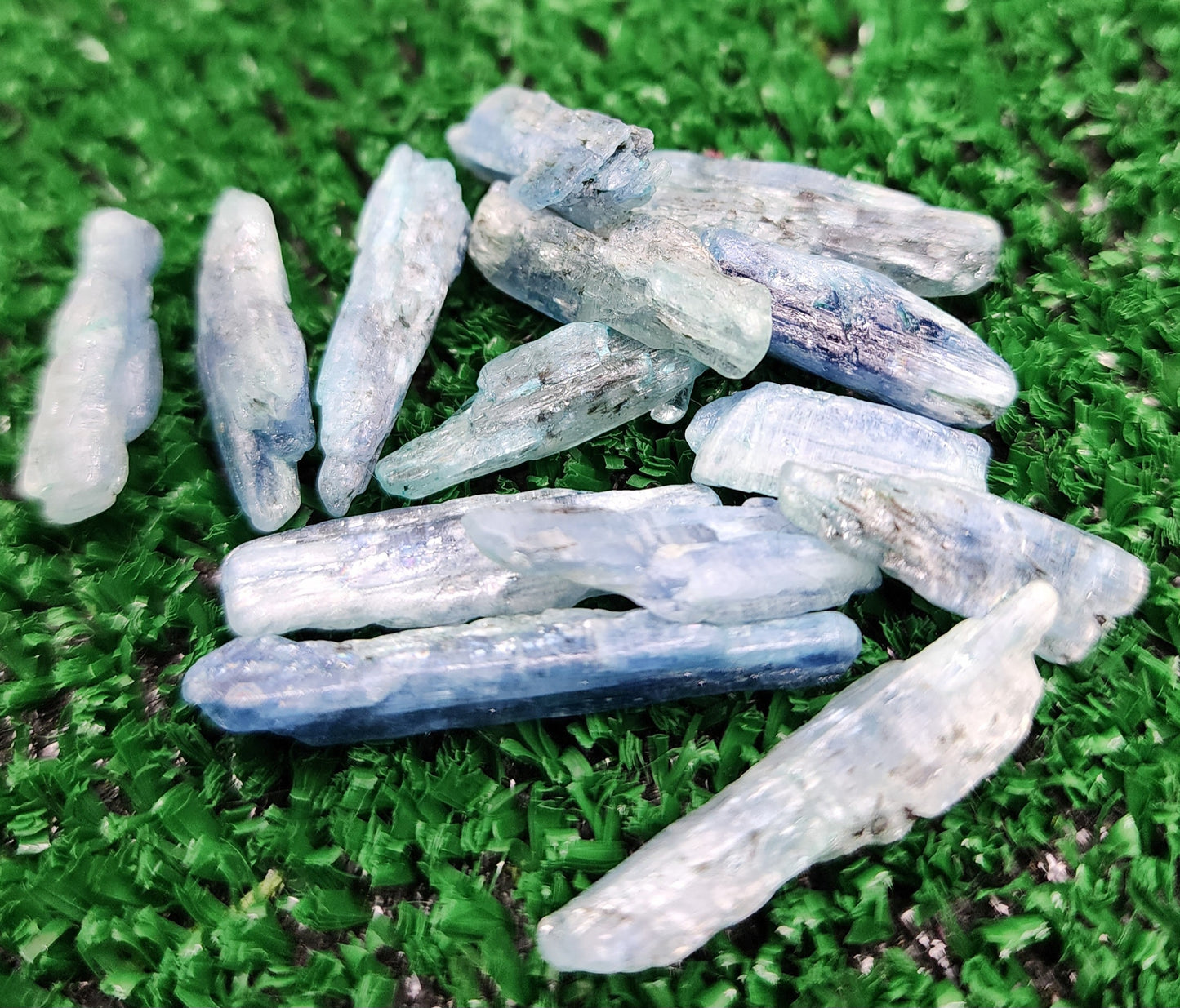 Blue Kyanite Blades 💙