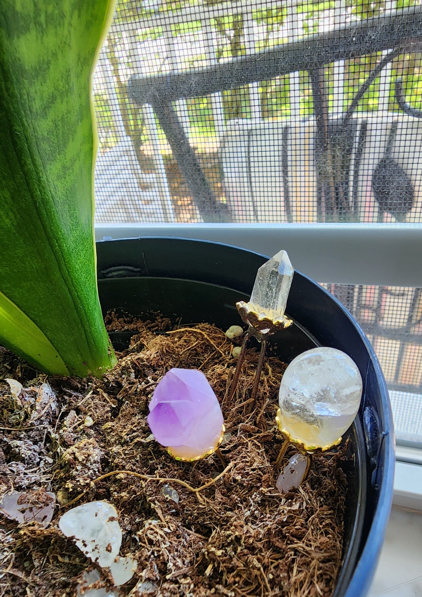 Crystal Hair Pins/Plant Decor