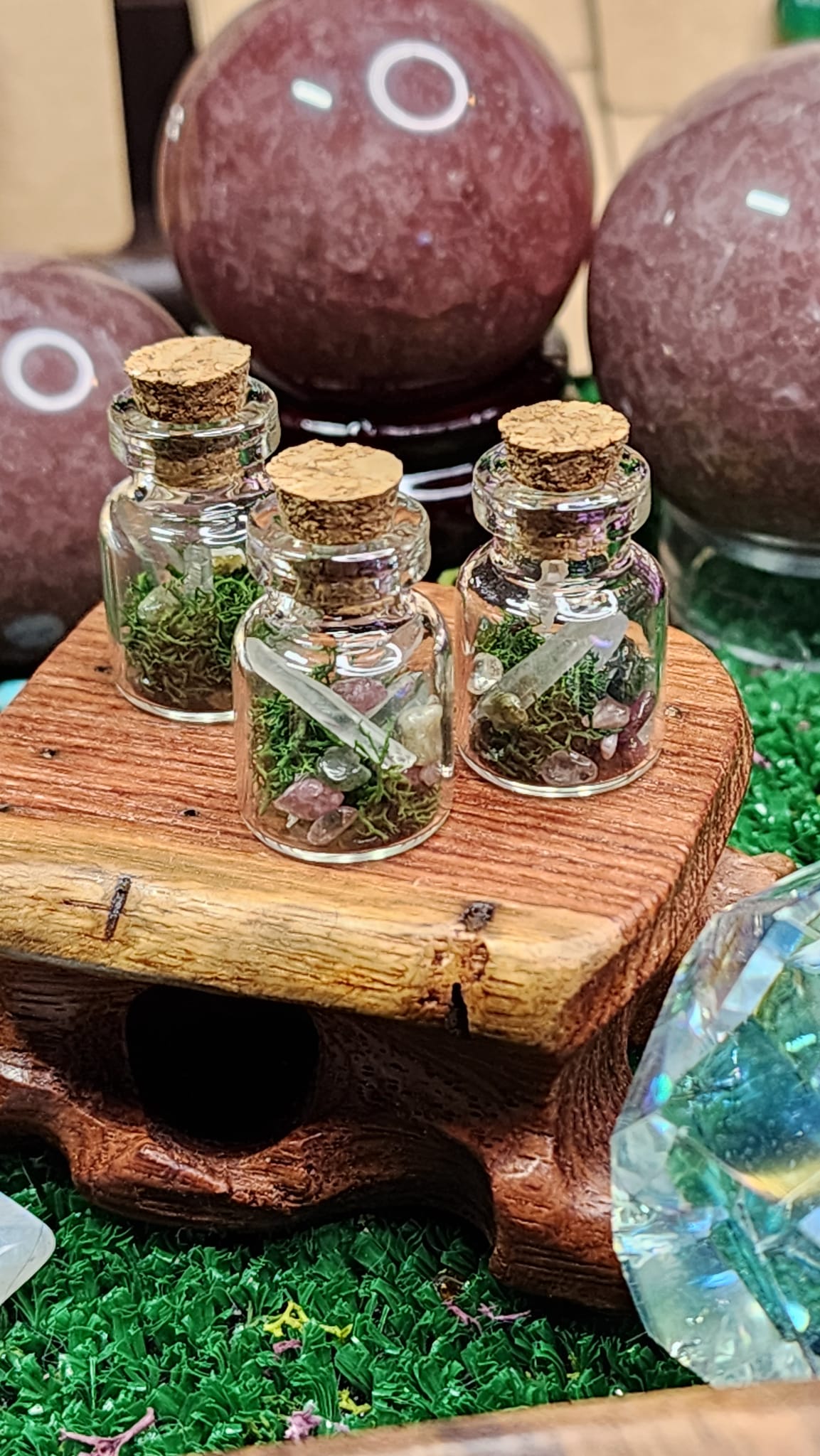 Mini Quartz Crystal Terrariums 🌿💎