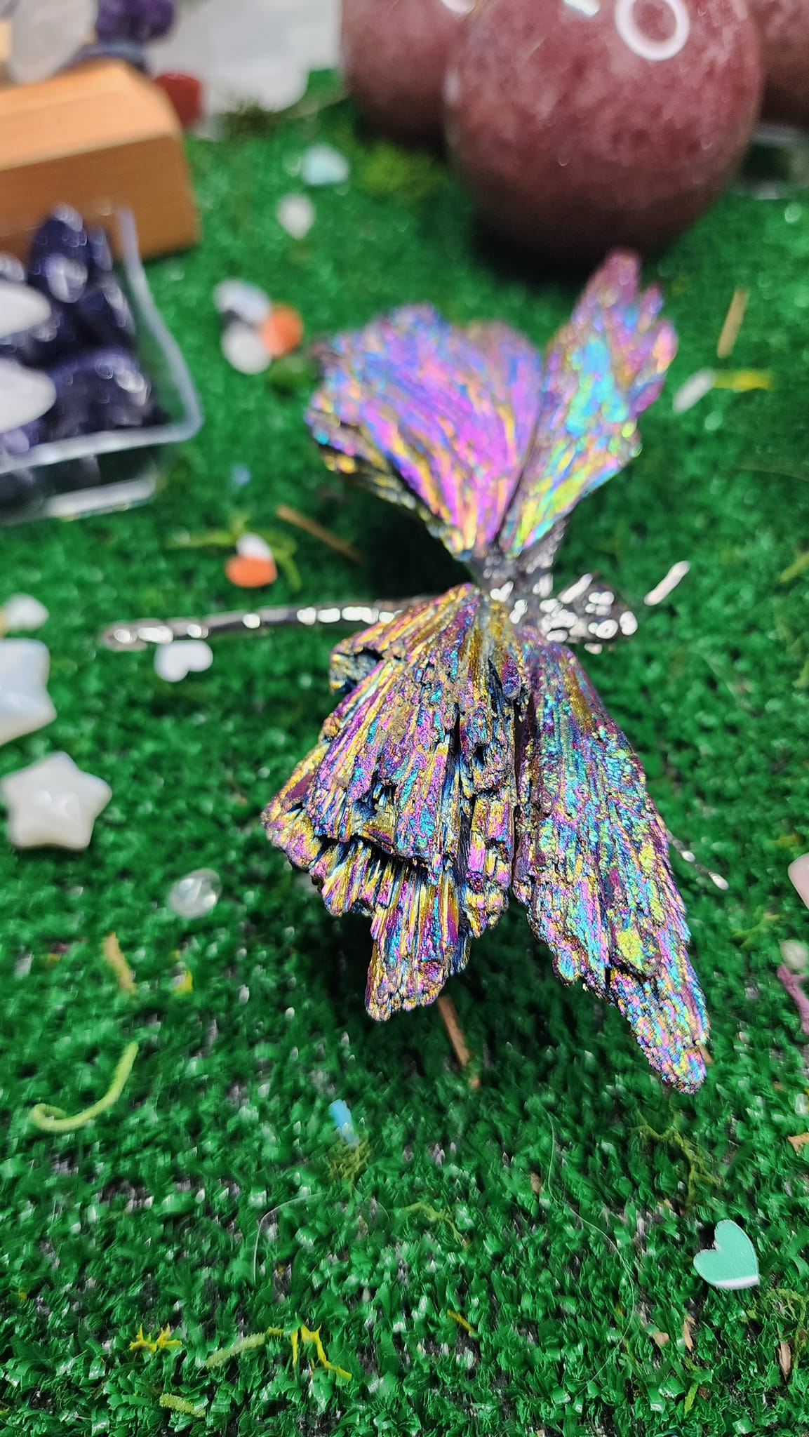 Titanium Aura Black Kyanite Dragonflies 🧚‍♂️