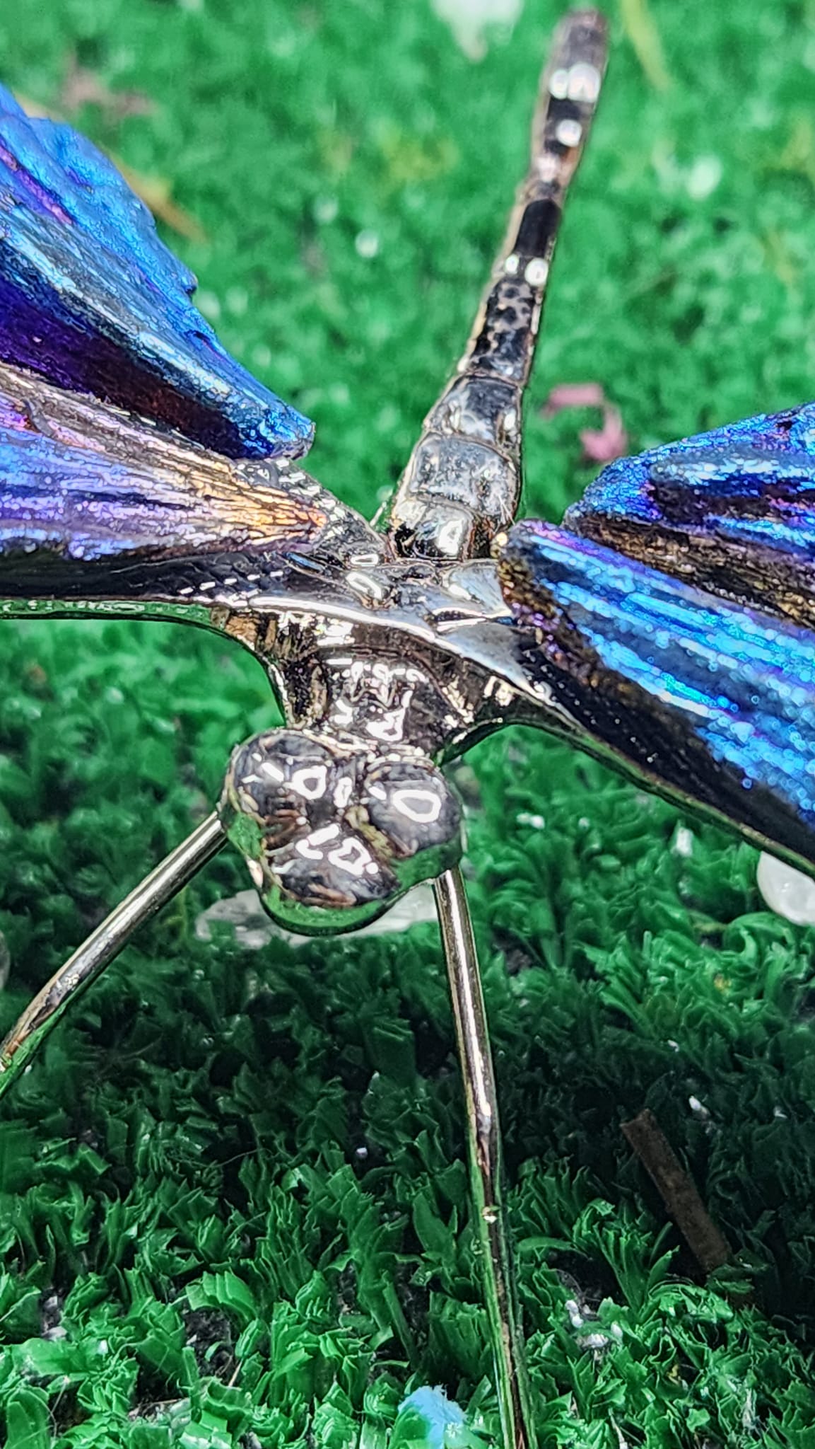 Titanium Aura Black Kyanite Dragonflies 🧚‍♂️