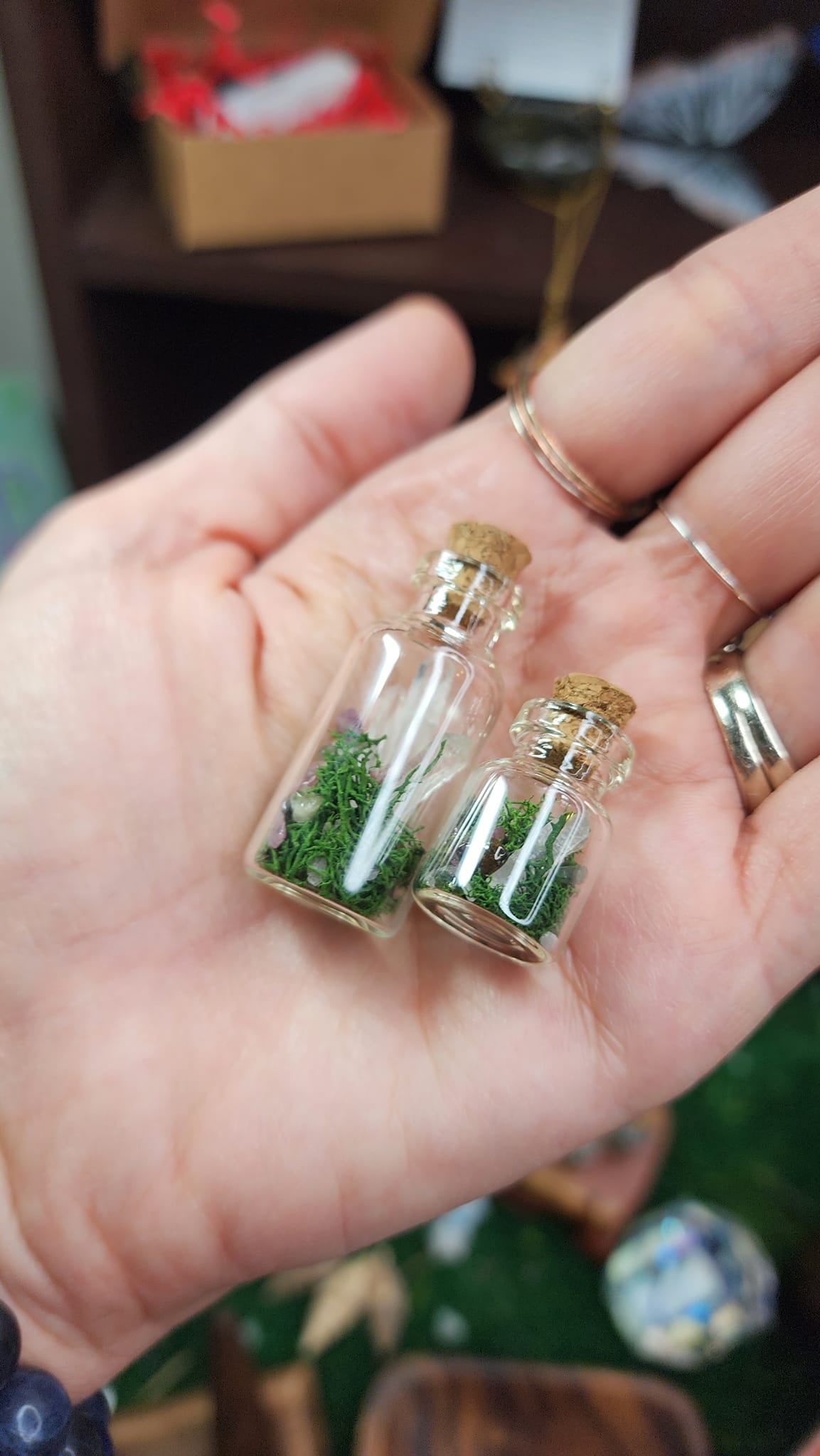 Mini Quartz Crystal Terrariums 🌿💎