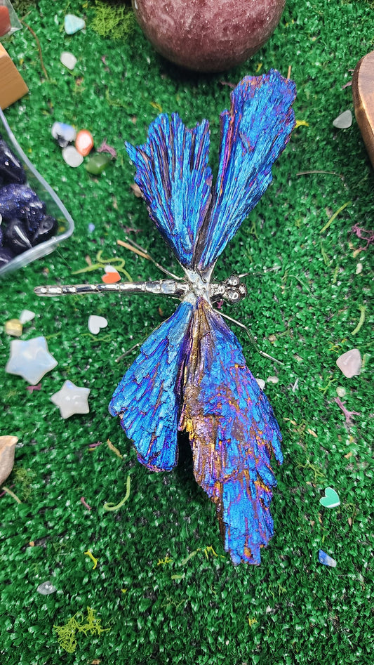 Titanium Aura Black Kyanite Dragonflies 🧚‍♂️