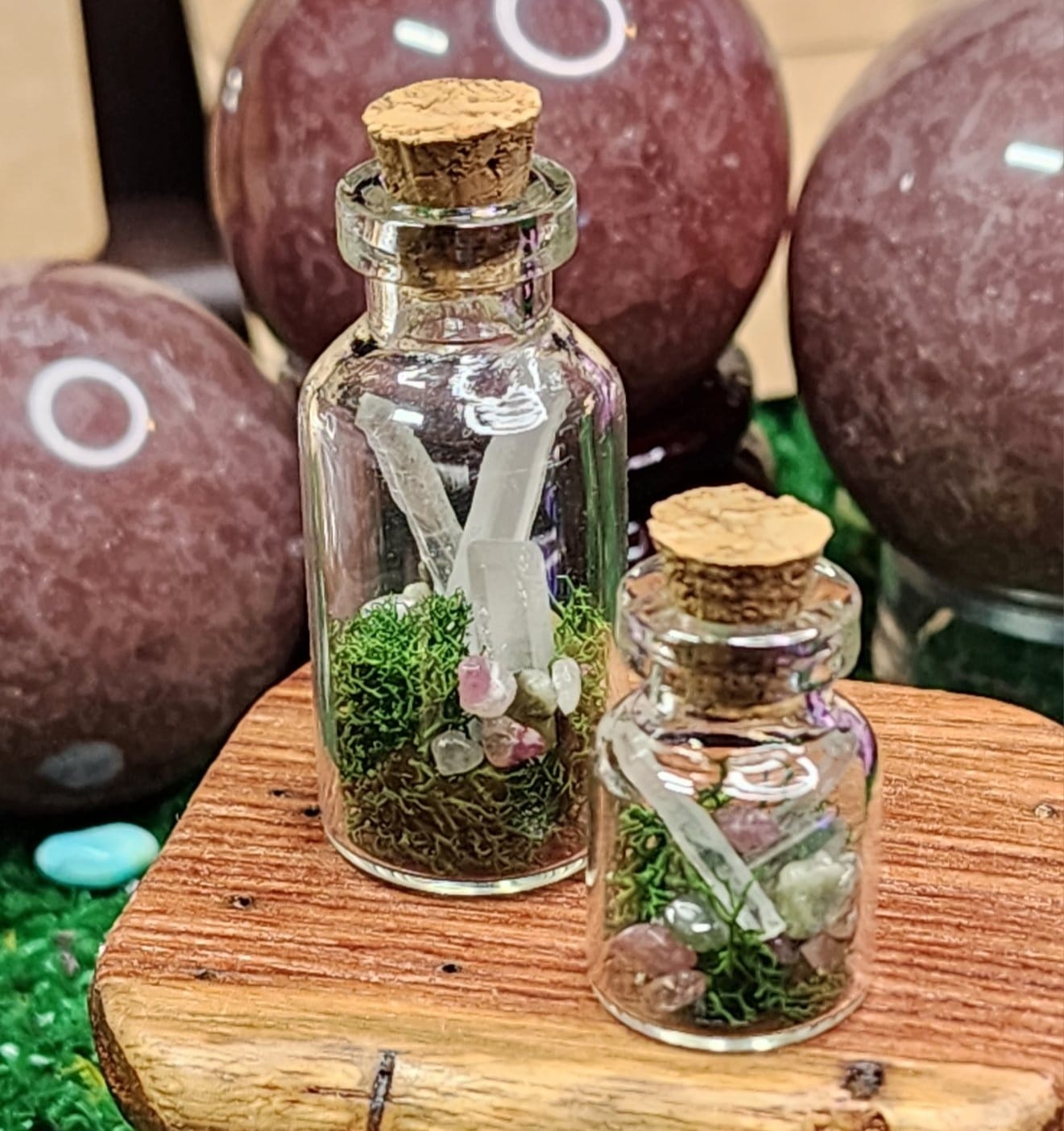 Mini Quartz Crystal Terrariums 🌿💎