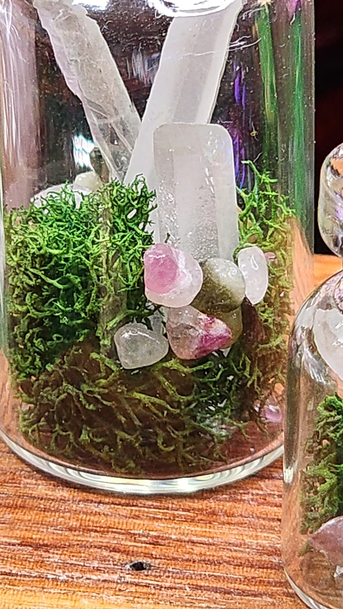 Mini Quartz Crystal Terrariums 🌿💎