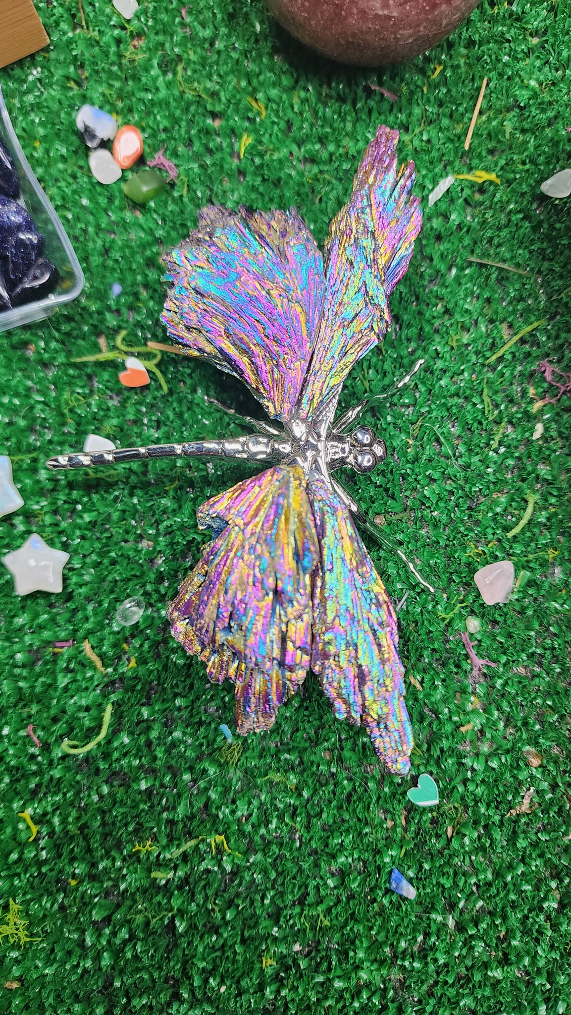 Titanium Aura Black Kyanite Dragonflies 🧚‍♂️