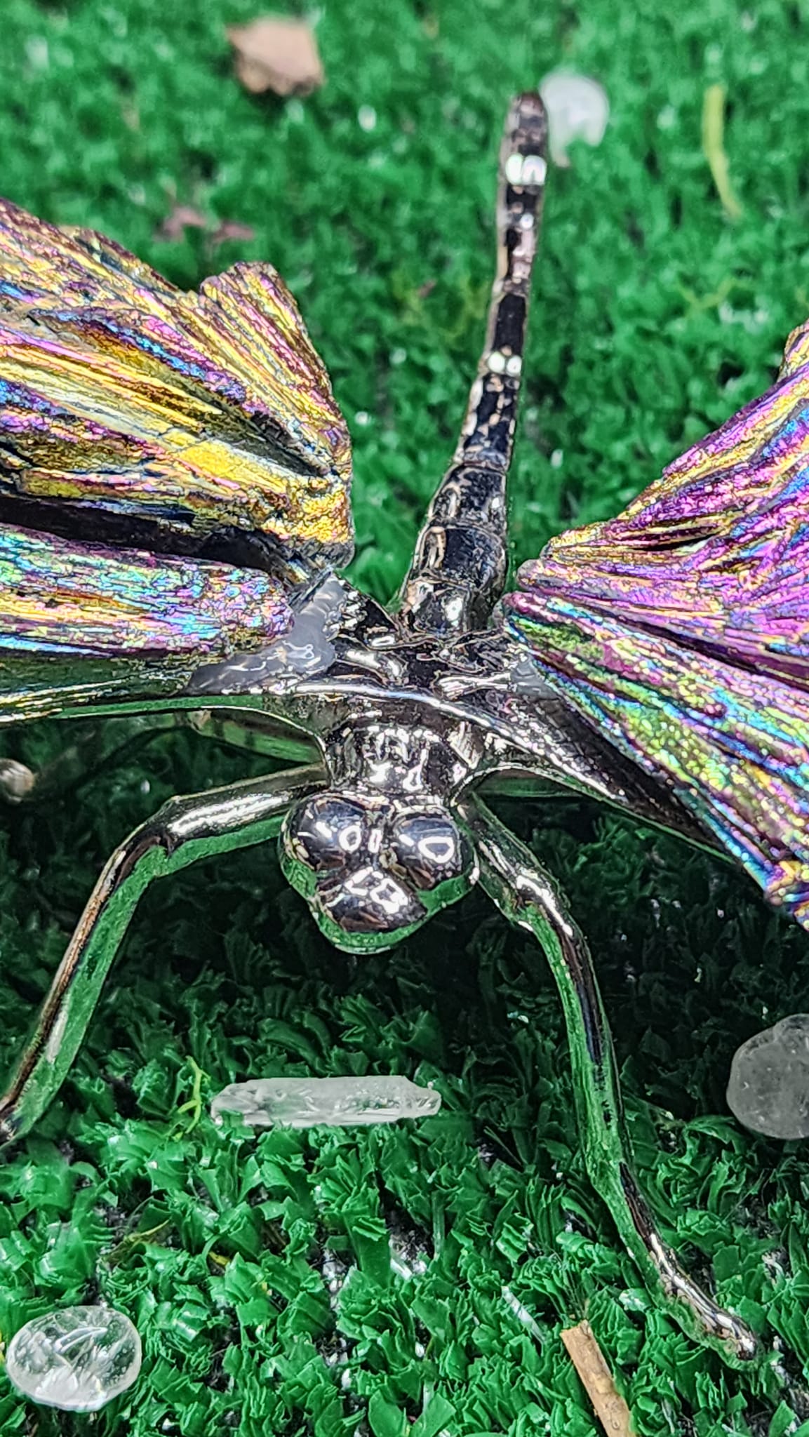 Titanium Aura Black Kyanite Dragonflies 🧚‍♂️