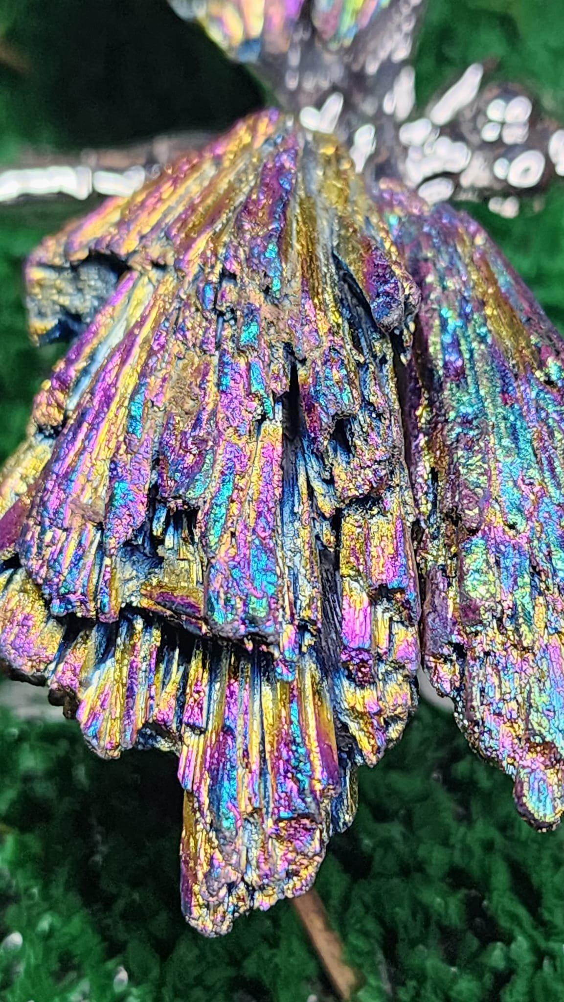 Titanium Aura Black Kyanite Dragonflies 🧚‍♂️