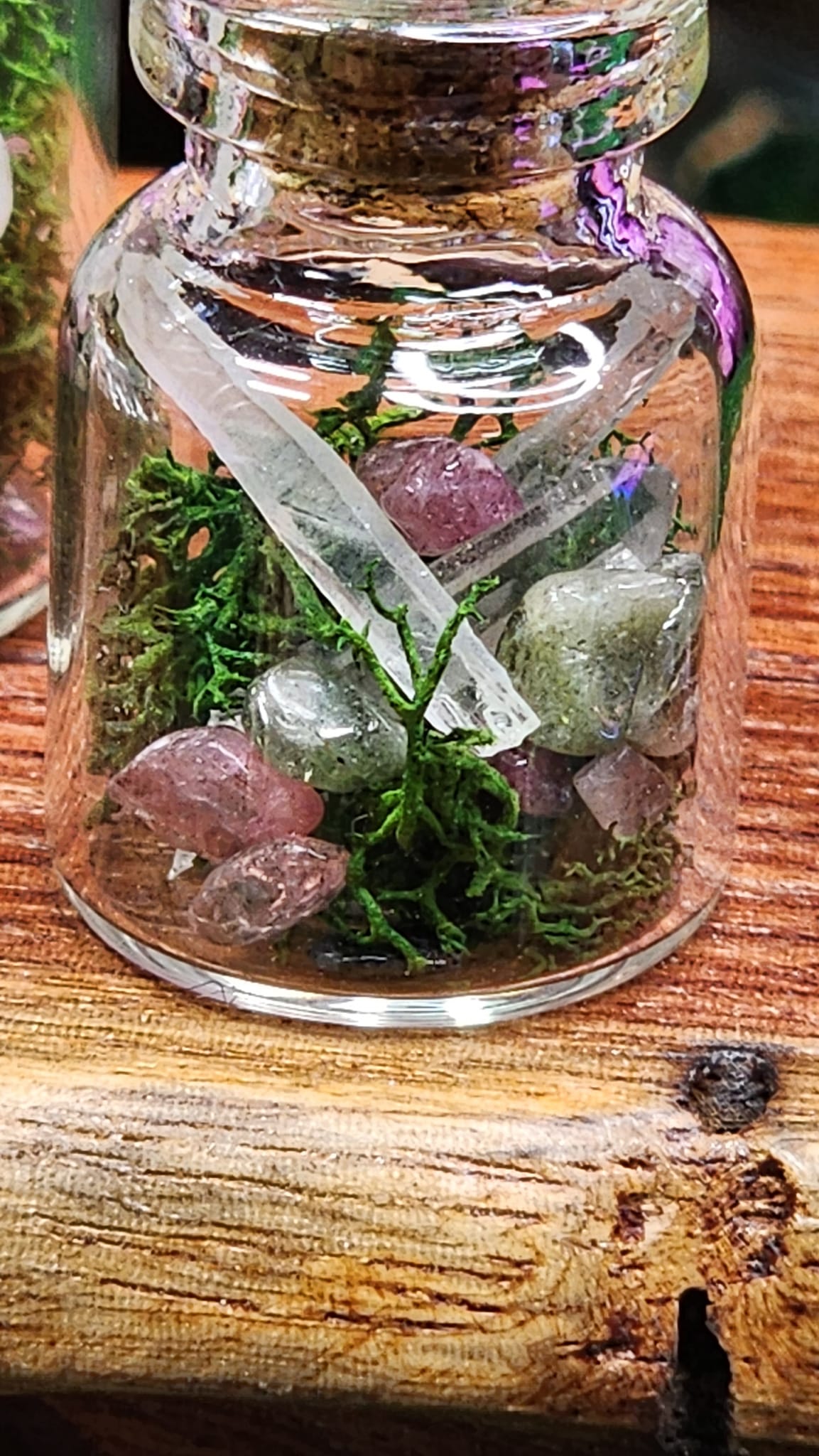 Mini Quartz Crystal Terrariums 🌿💎
