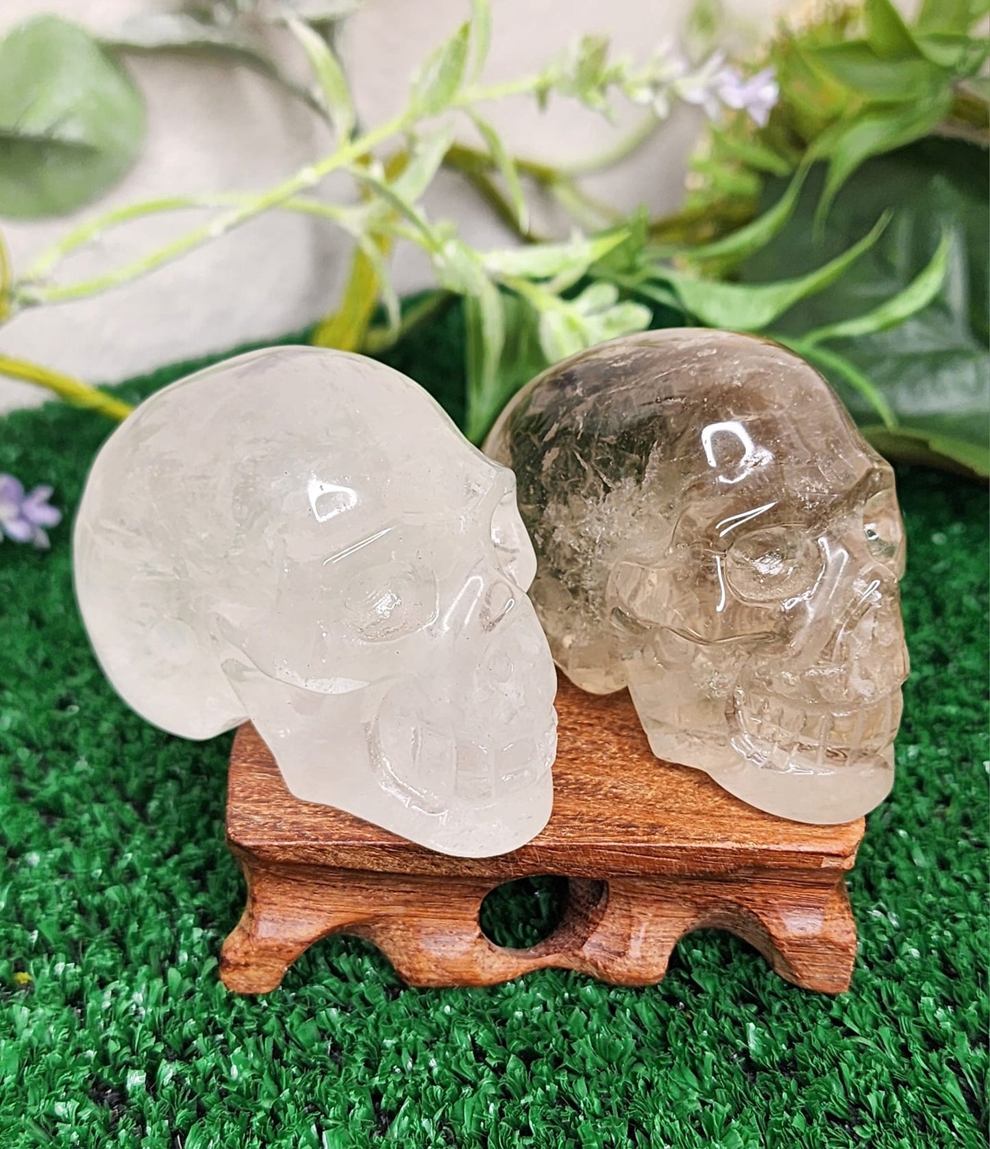 Smoky Quartz & Clear Quartz Crystal Skulls