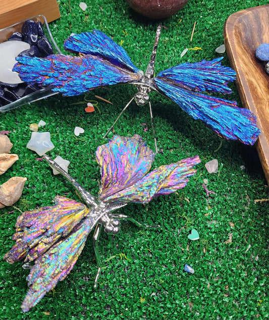 Titanium Aura Black Kyanite Dragonflies 🧚‍♂️
