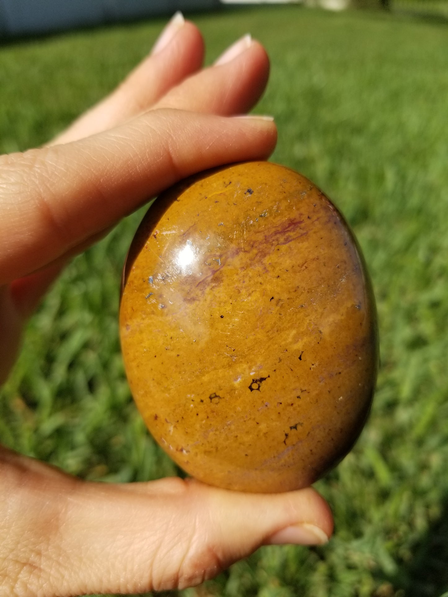 Ocean Jasper Palm Stone (#22)