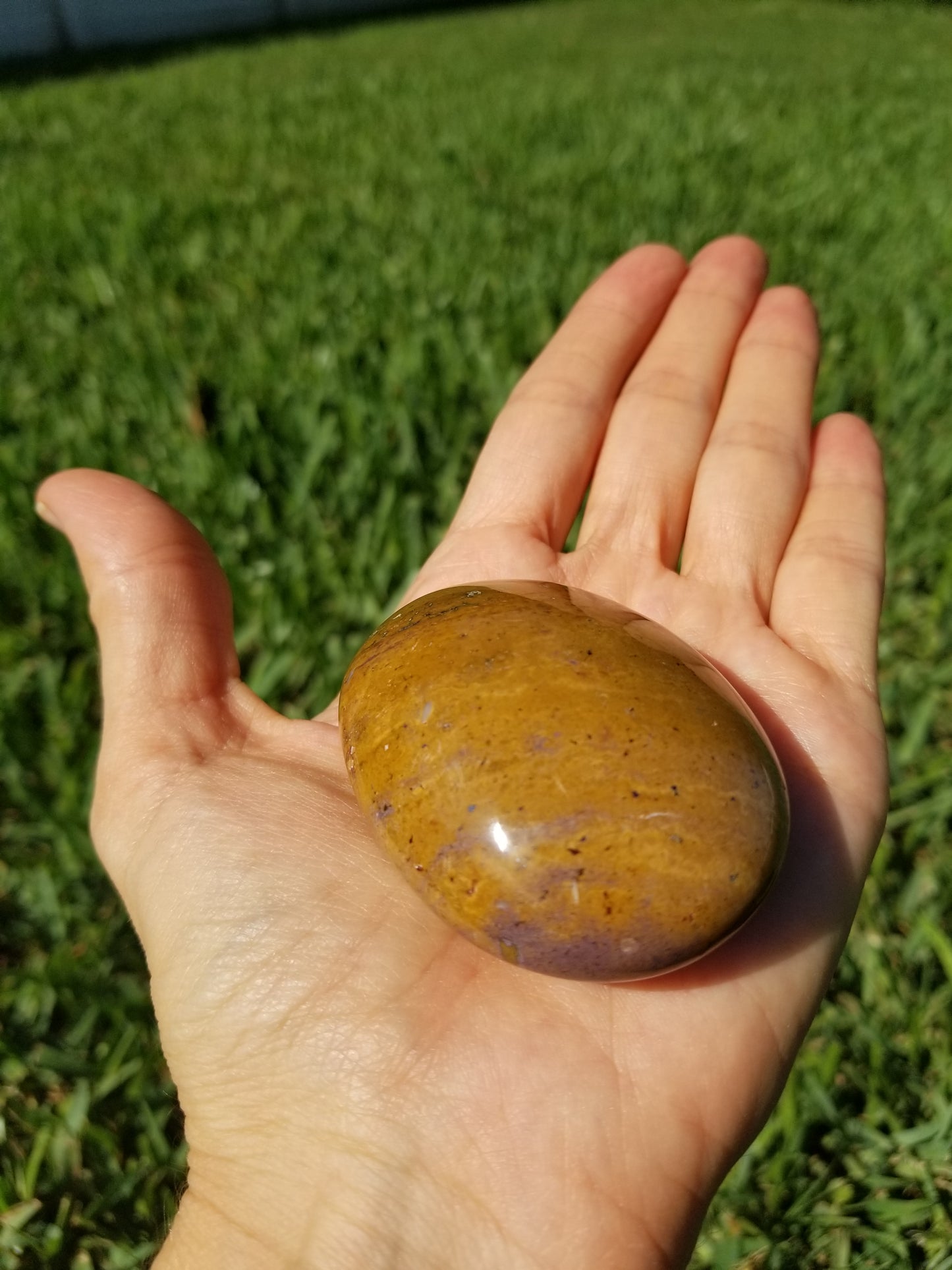 Ocean Jasper Palm Stone (#22)