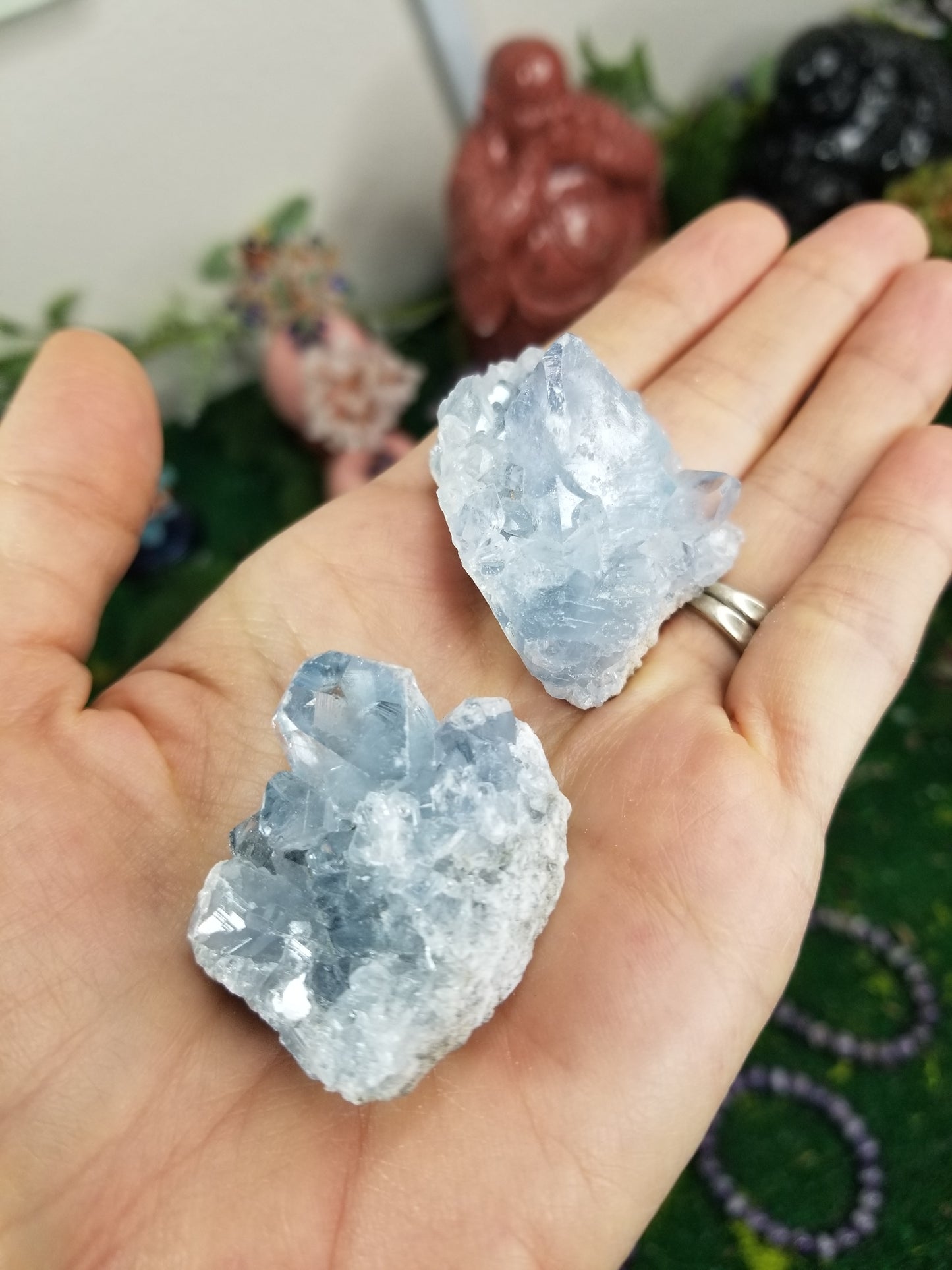 Celestite Clusters