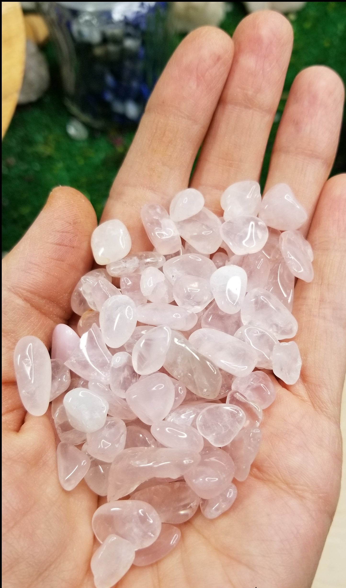Rose Quartz Love for your plants!! 🌱🌿
