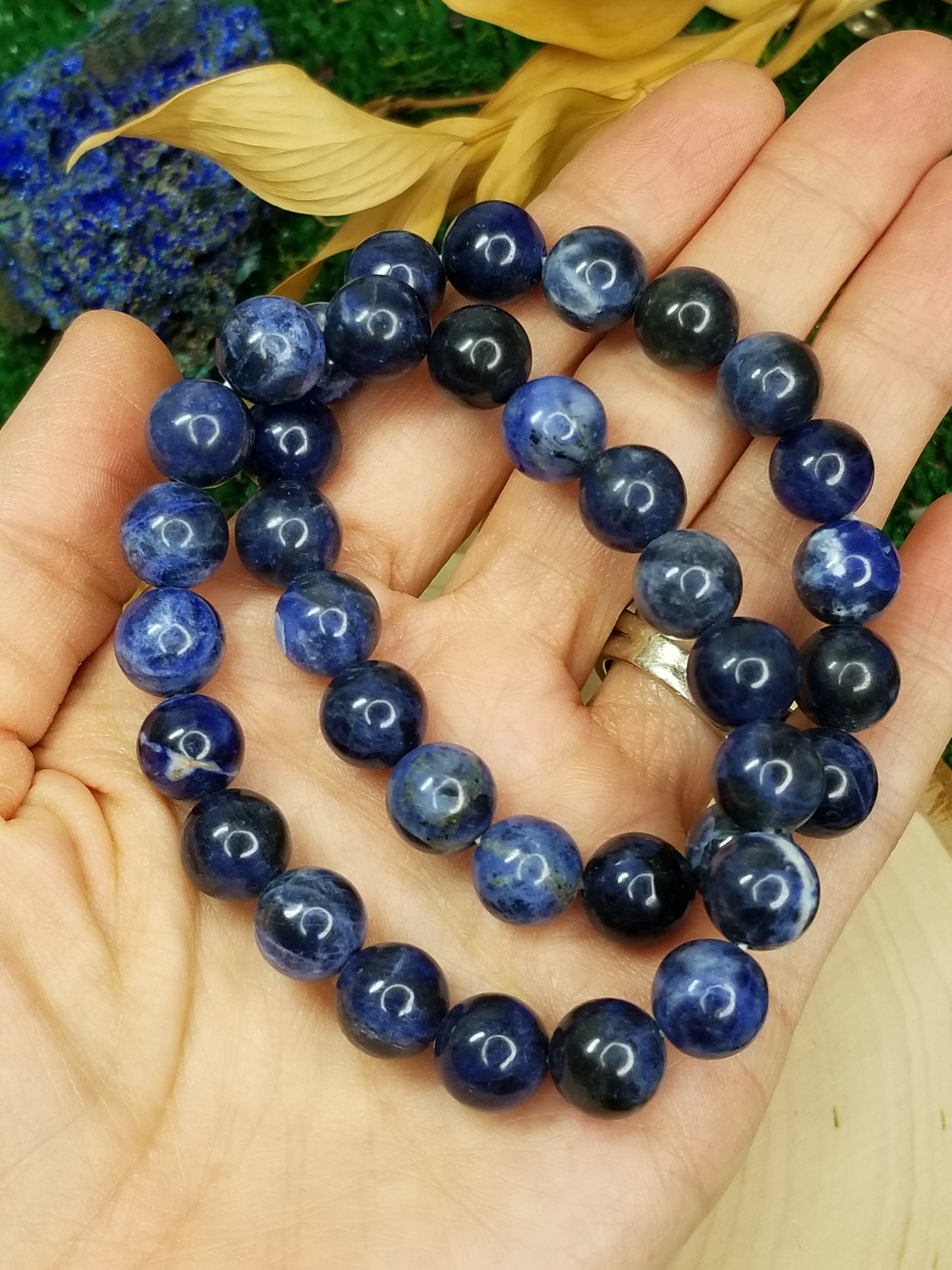 Sodalite Beaded Bracelets (10mm)