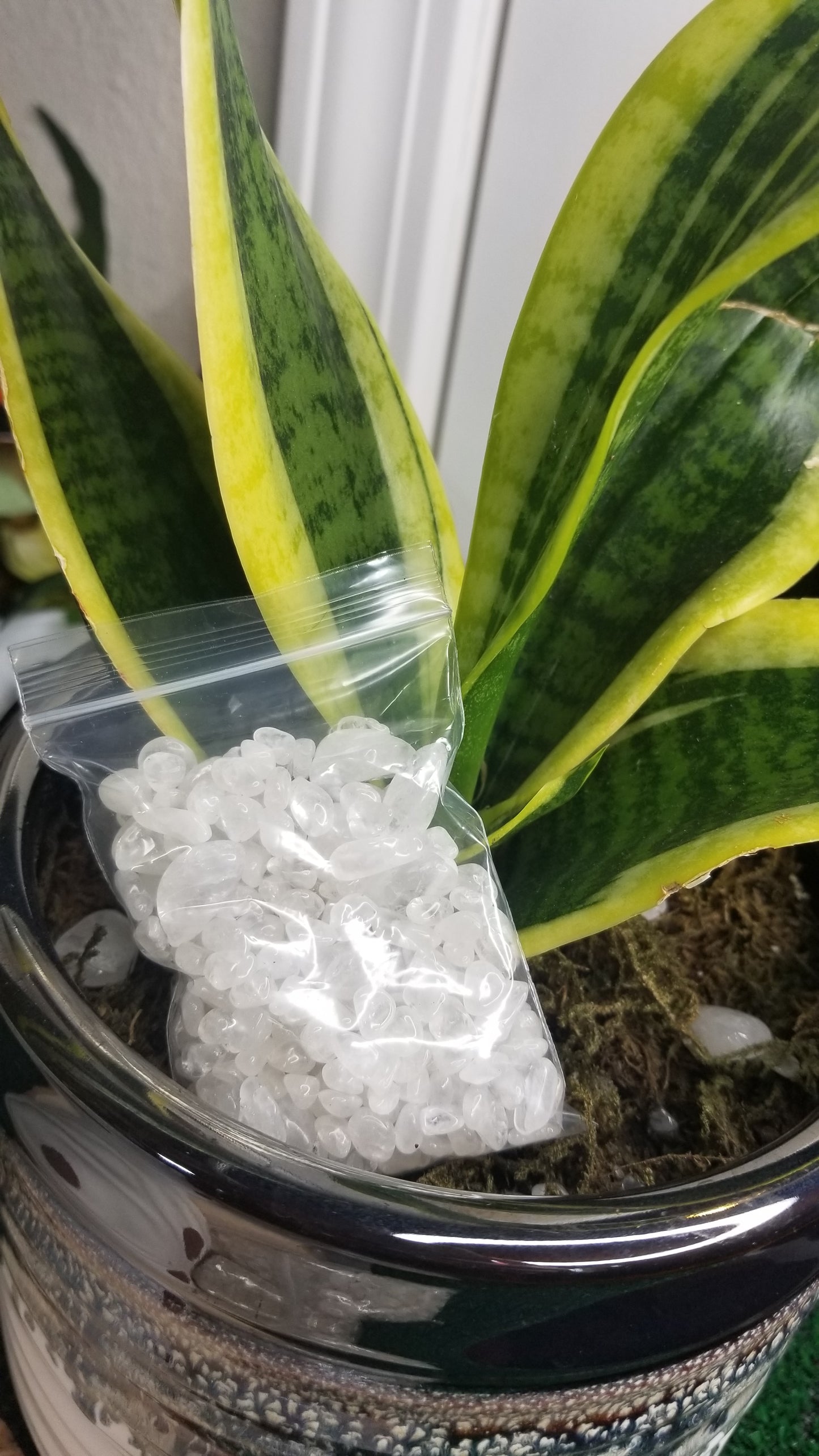 Clear Quartz chips for your plants!! 🌱🌿