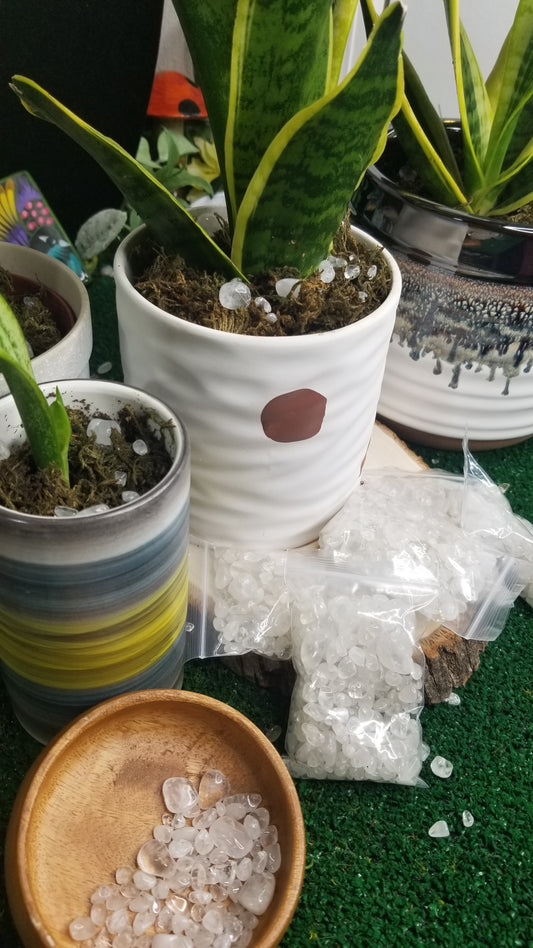 Clear Quartz chips for your plants!! 🌱🌿