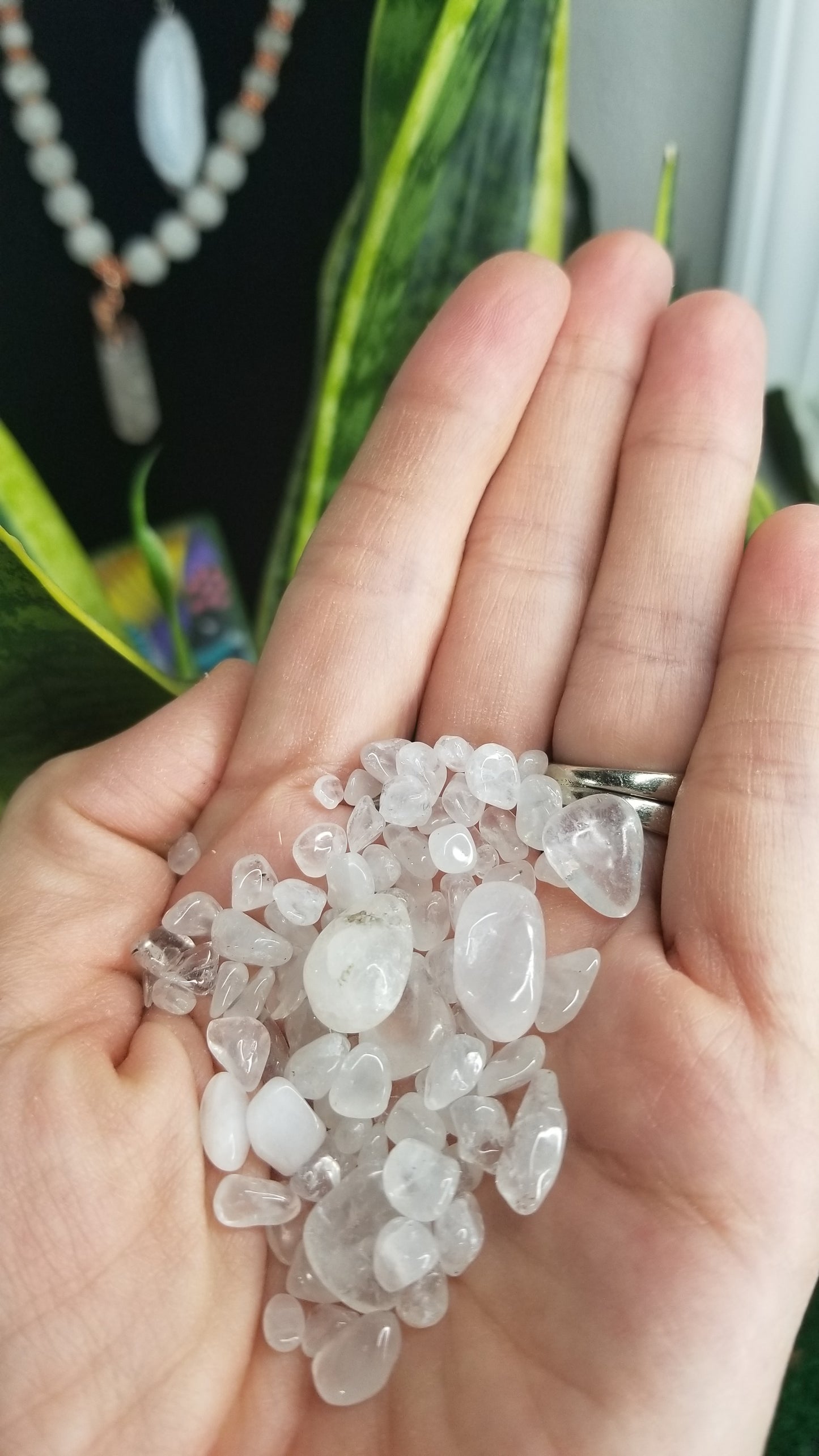 Clear Quartz chips for your plants!! 🌱🌿