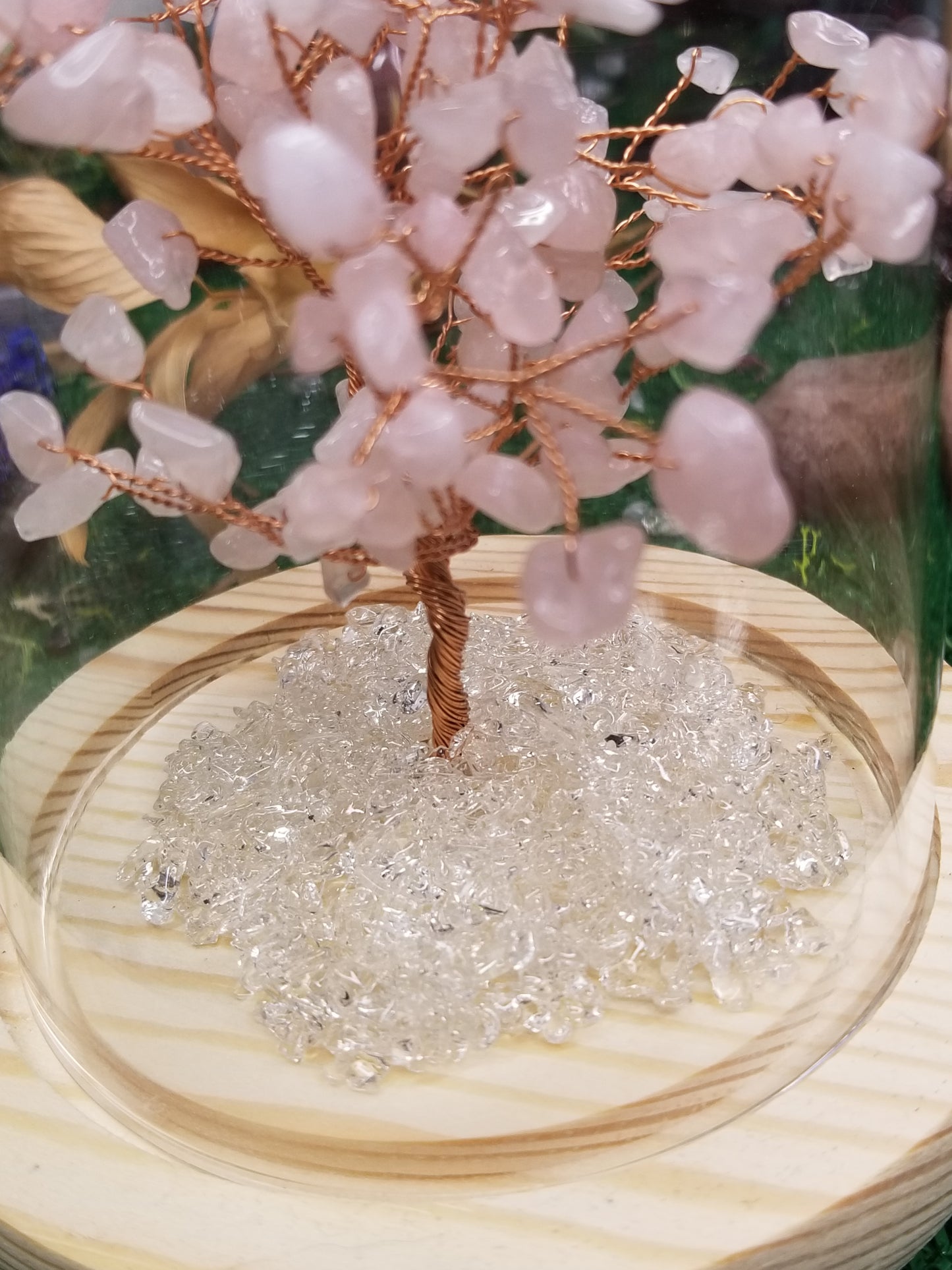 Crystal Trees in Glass Domes