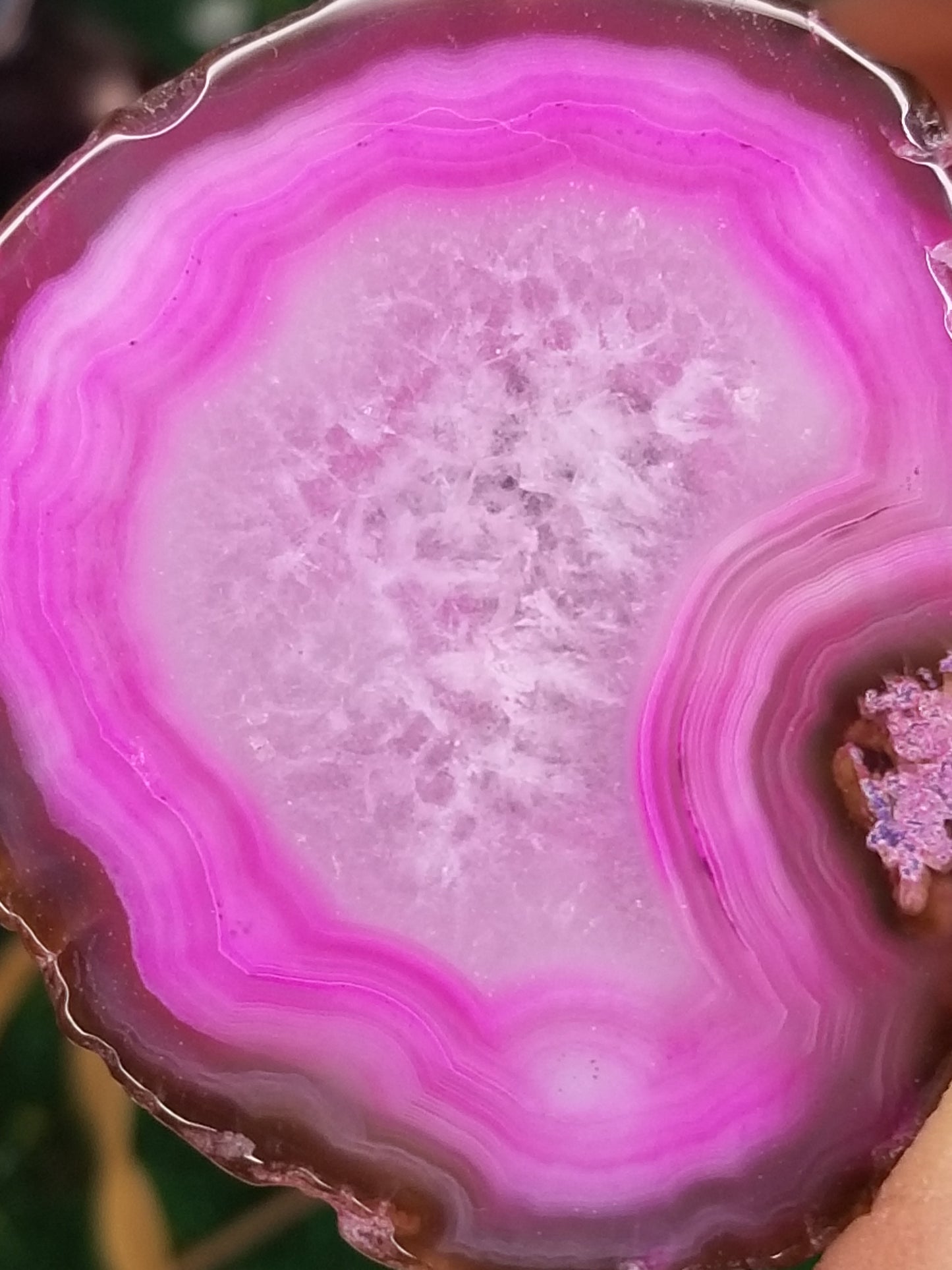 Pink Agate Slice 2