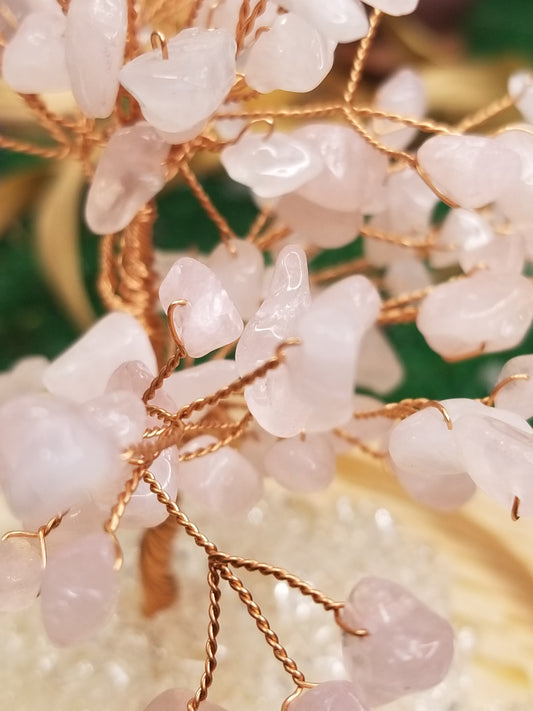 Crystal Trees in Glass Domes