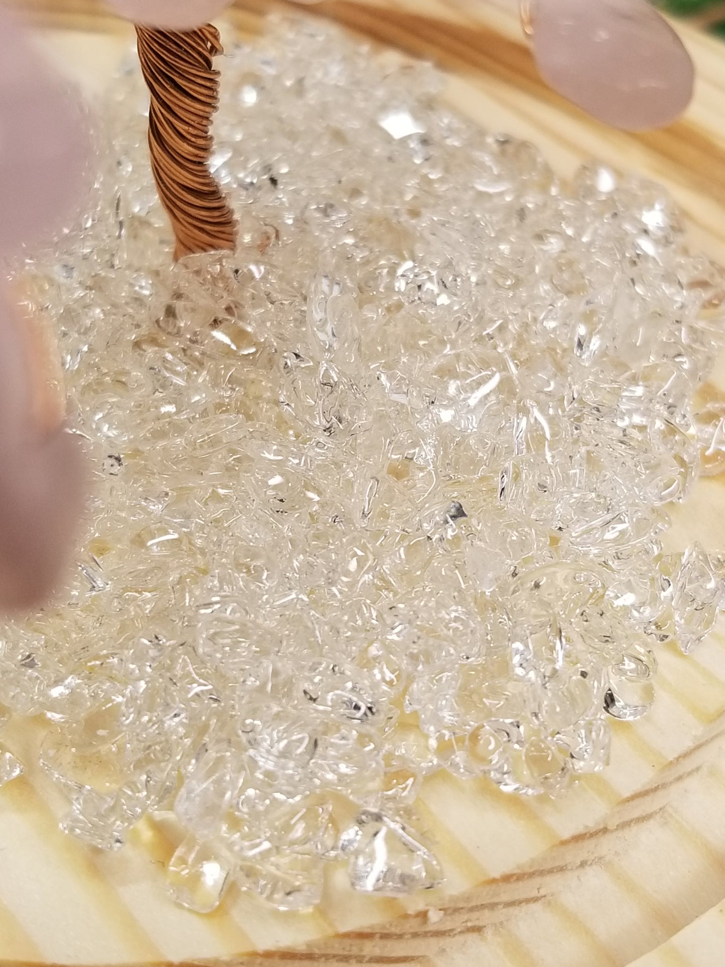 Crystal Trees in Glass Domes