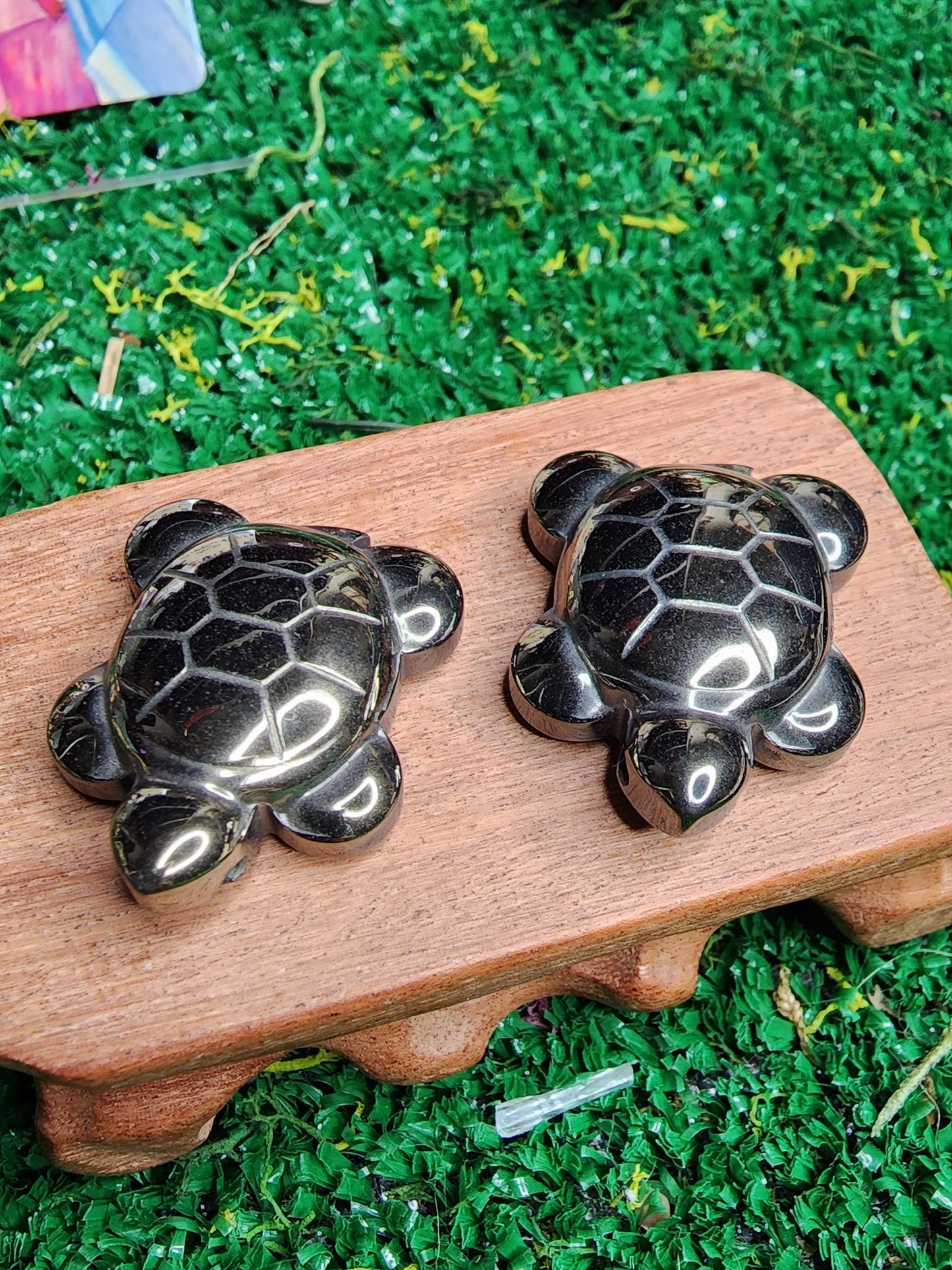 Pyrite Turtles 🐢