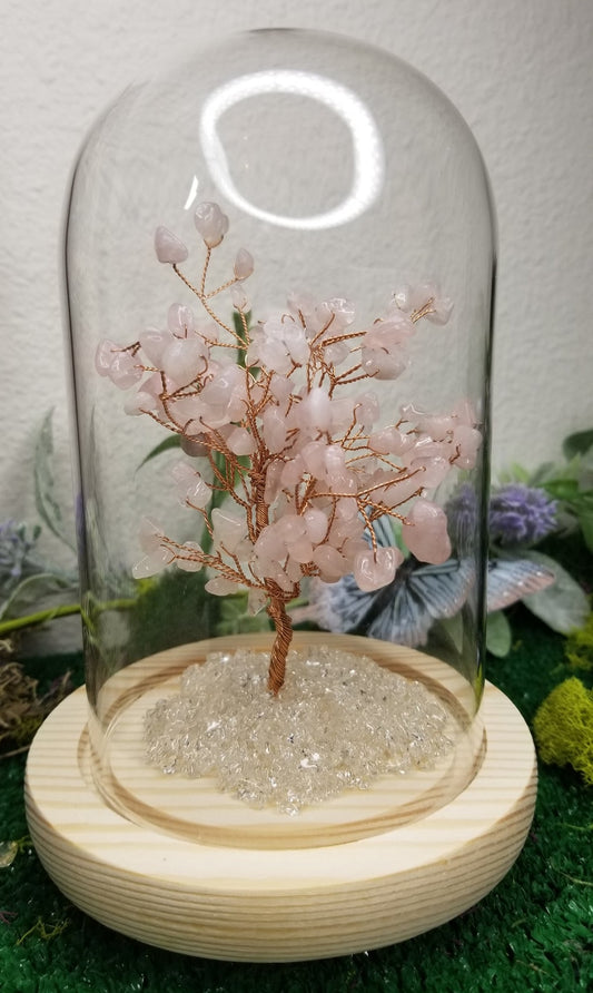 Crystal Trees in Glass Domes