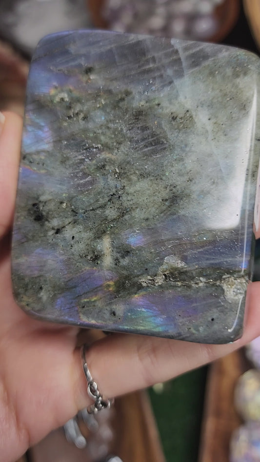 Labradorite Free Form (24A)