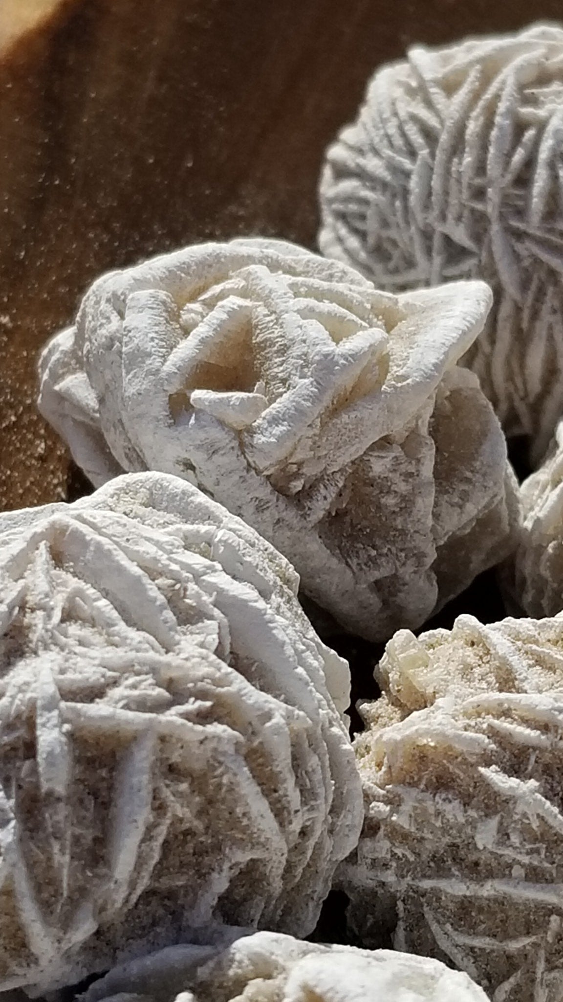 Desert Rose Crystal Clusters